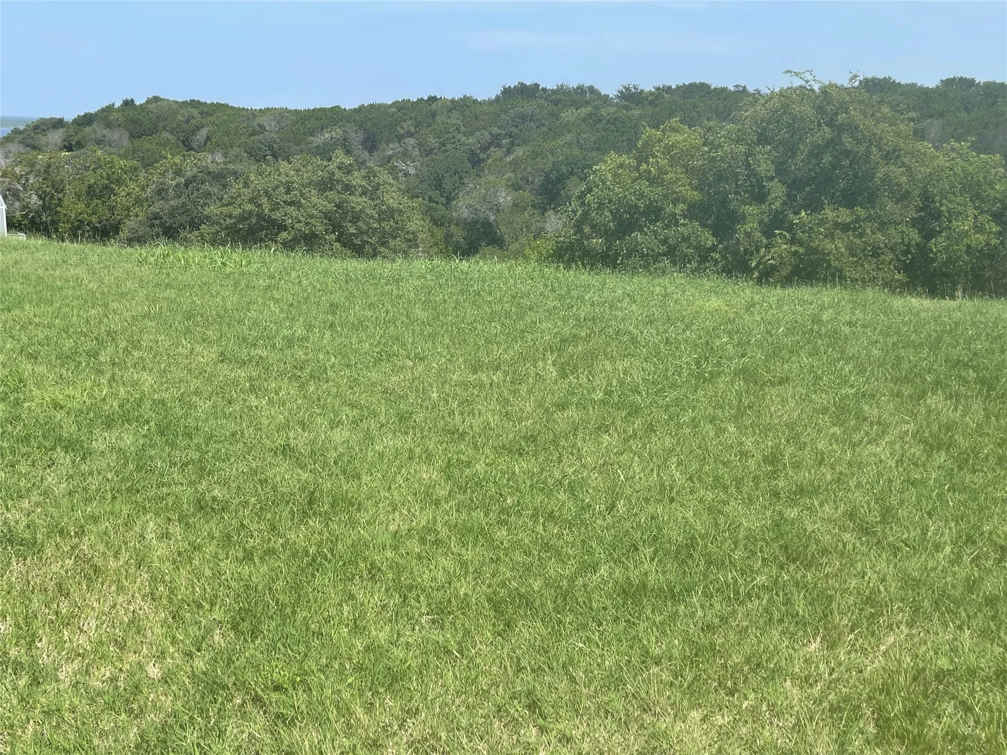 Unimproved Land For Sale in Bosque County , TBD CR 1524, Morgan, Texas 76671, 0, 0, Garage spaces, 0 Sqft, built in 0, Price $125,000, mls#21005187, Real Estate Agent in Morgan, Homes For Sale in Bosque county, Homes For Sale in Morgan, Realtor in Morgan Texas, Real Estate Brokerage Independent Realty Texas, Luminita Cordes Realtor