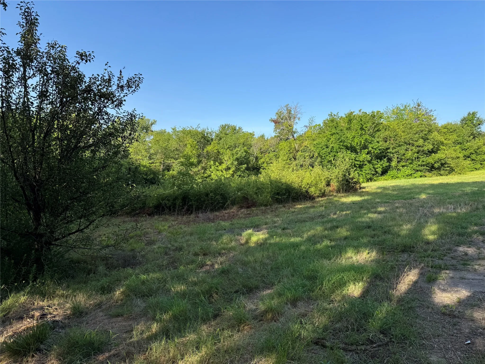 Unimproved Land For Sale in Fannin County , 2109 Island, Bonham, Texas 75418, 0, 0, Garage spaces, 0 Sqft, built in 0, Price $270,000, mls#21006020, Real Estate Agent in Bonham, Homes For Sale in Fannin county, Homes For Sale in Bonham, Realtor in Bonham Texas, Real Estate Brokerage Independent Realty Texas, Luminita Cordes Realtor