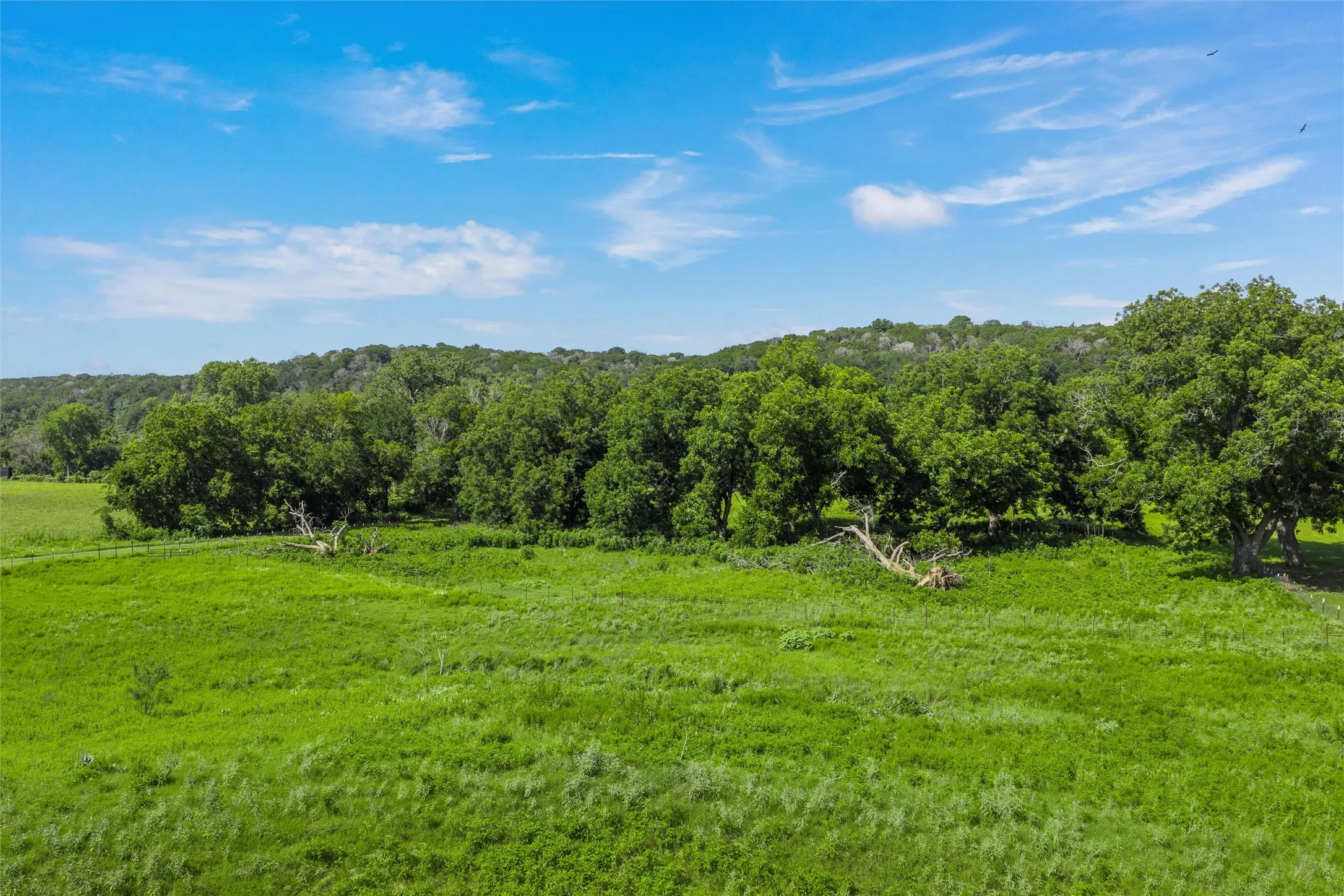 View of woods