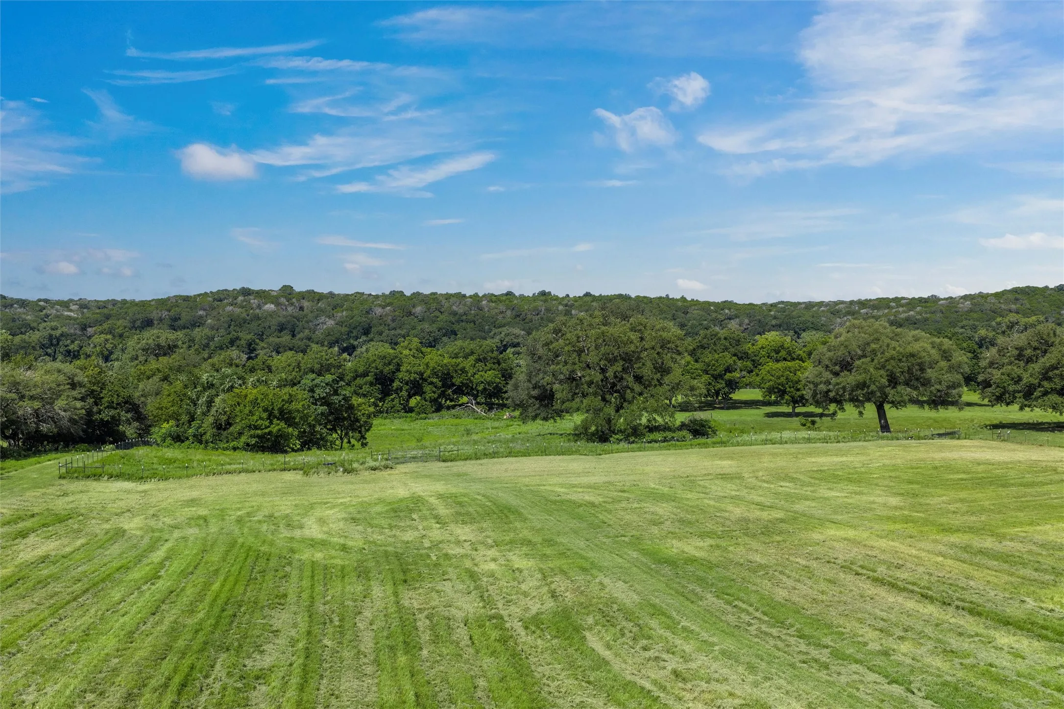 View of grassy yard with a view of trees