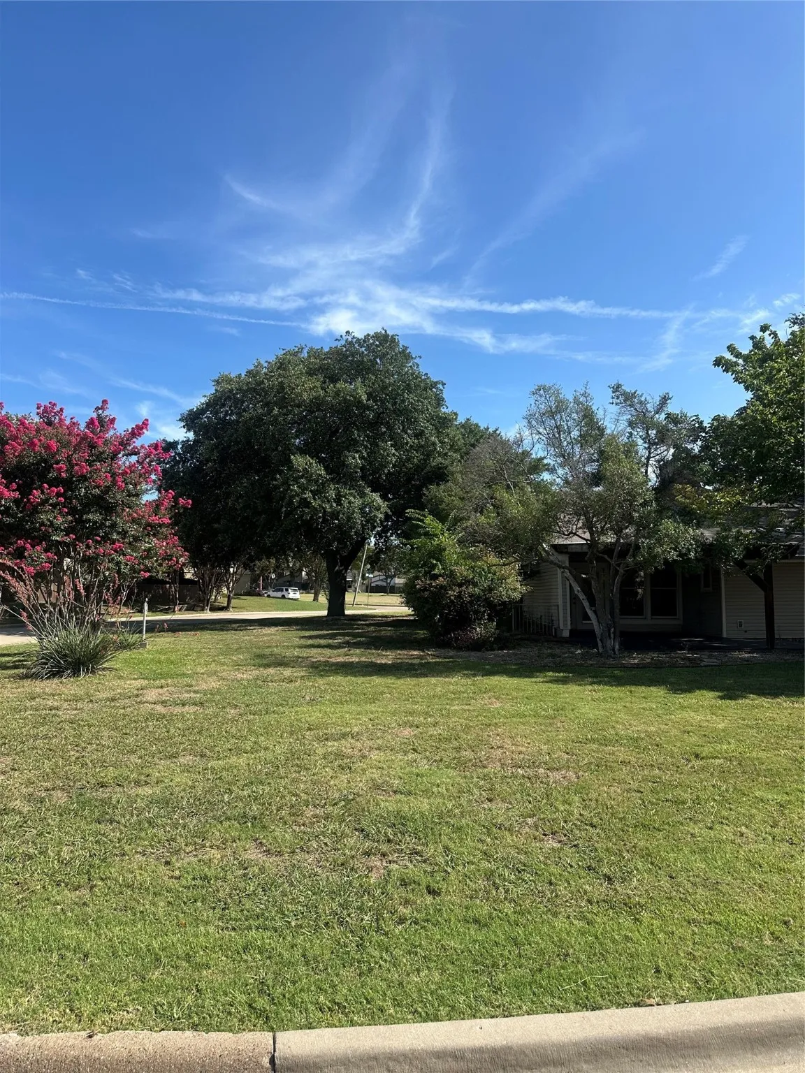View of grassy yard
