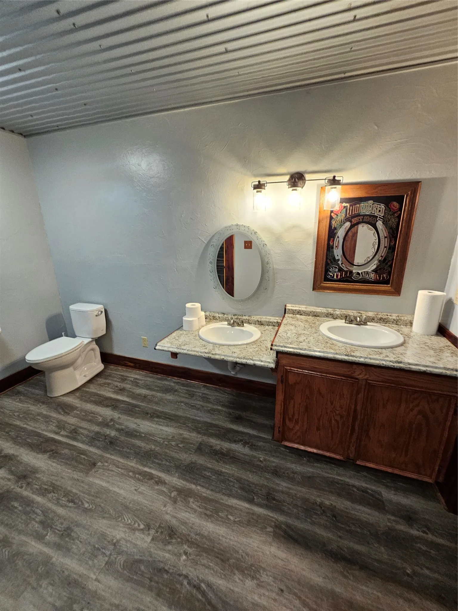 Bathroom featuring wood finished floors and vanity