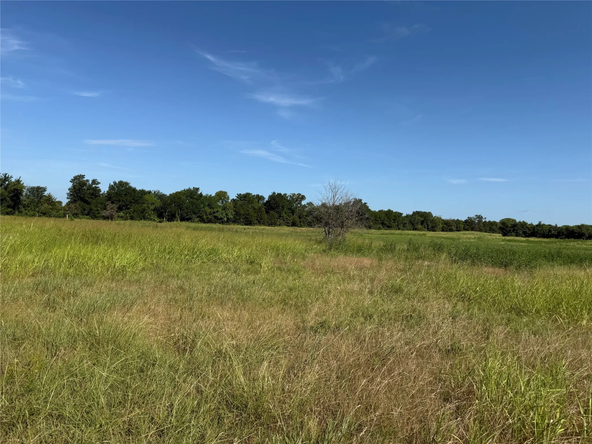 Unimproved Land For Sale in Fannin County , Tract 2 County Road 5045, Leonard, Texas 75452, 0, 0, Garage spaces, 0 Sqft, built in 0, mls#21007103, Real Estate Agent in Leonard, Homes For Sale in Fannin county, Homes For Sale in Leonard, Realtor in Leonard Texas, Real Estate Brokerage Independent Realty Texas, Luminita Cordes Realtor