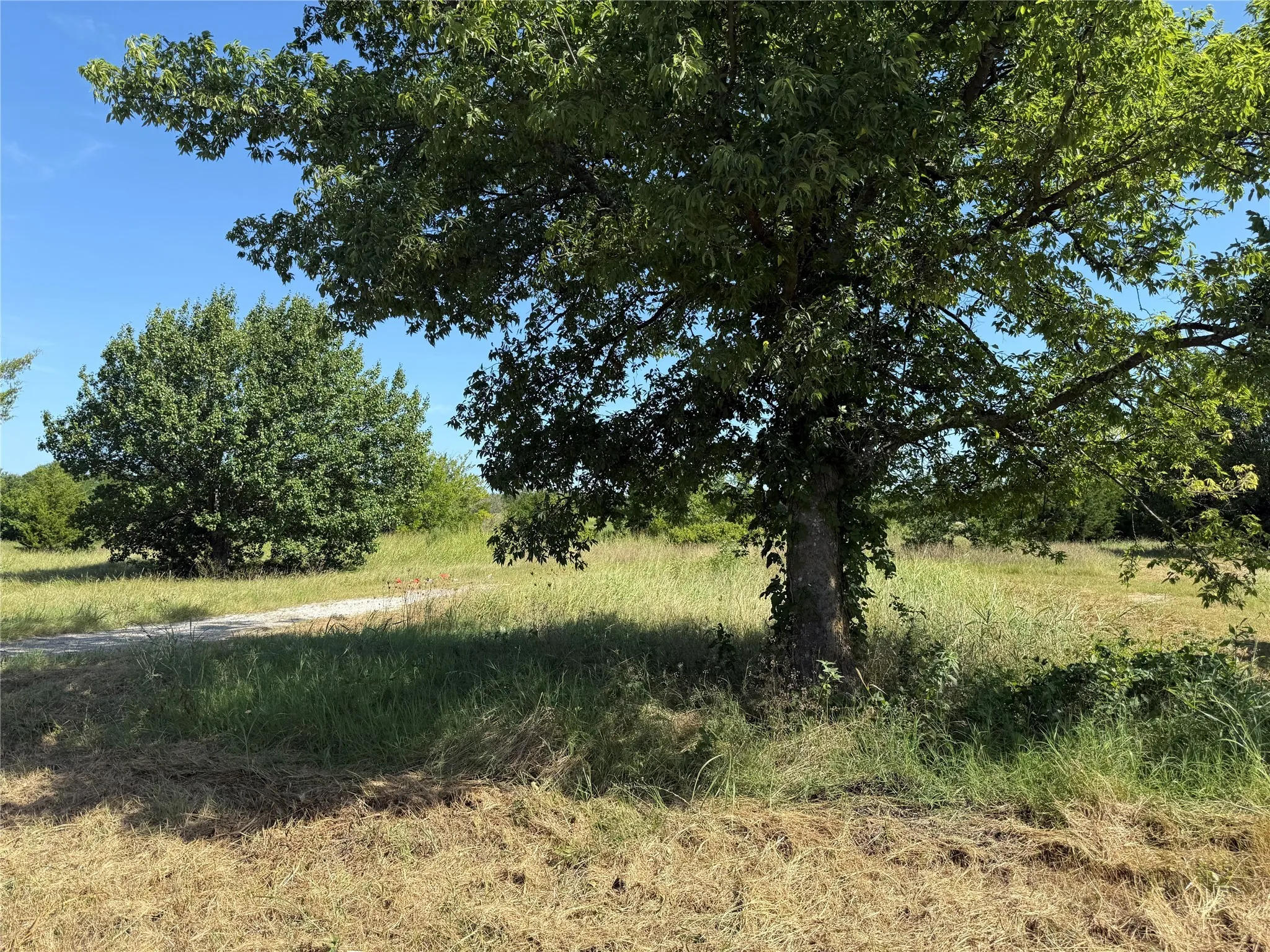 View of undeveloped land