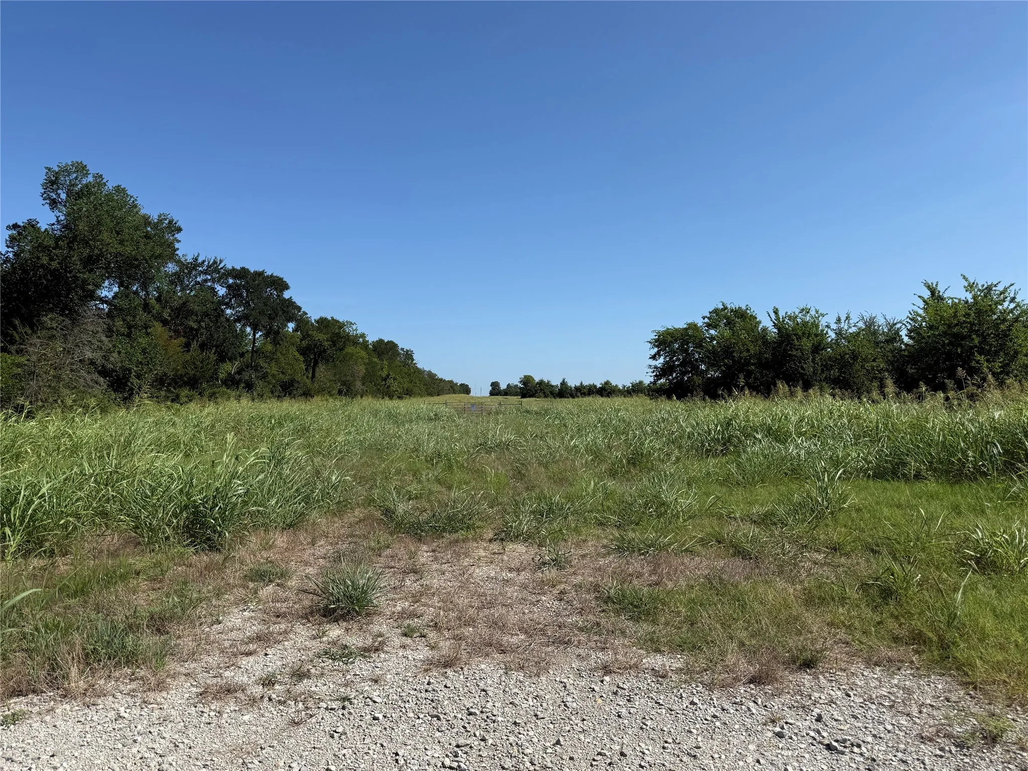 View of nature with rural landscape