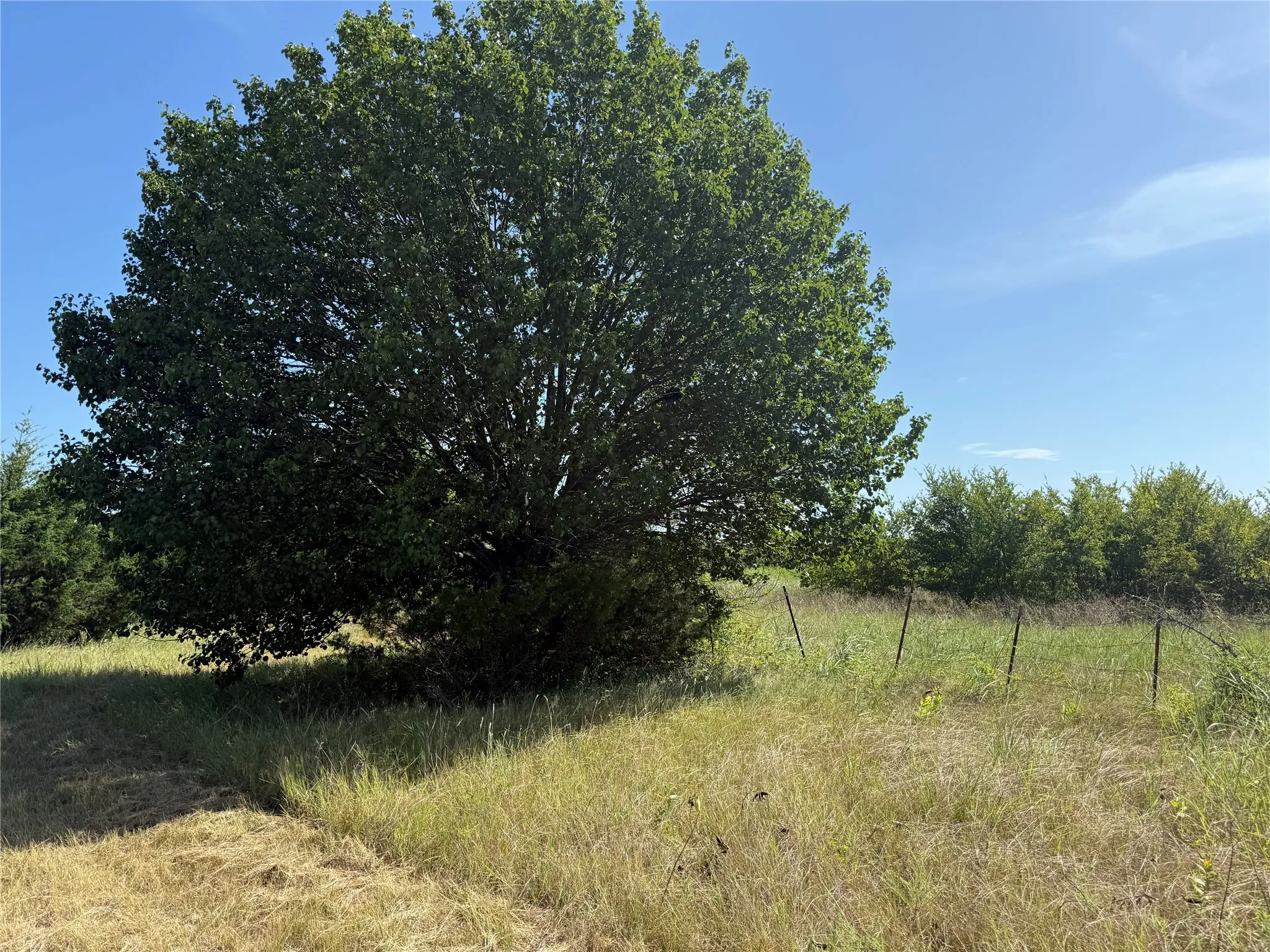 View of nature