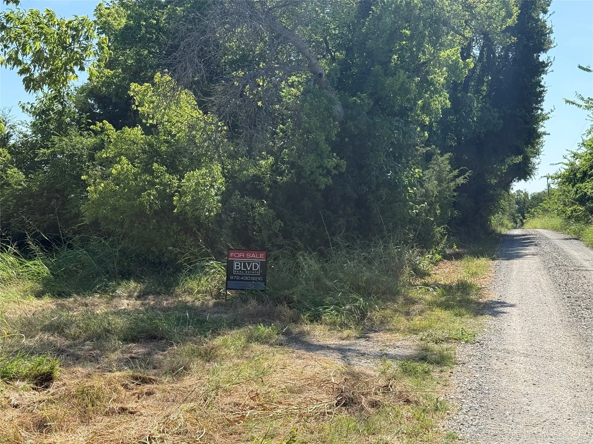 View of dirt / gravel road with a view of trees