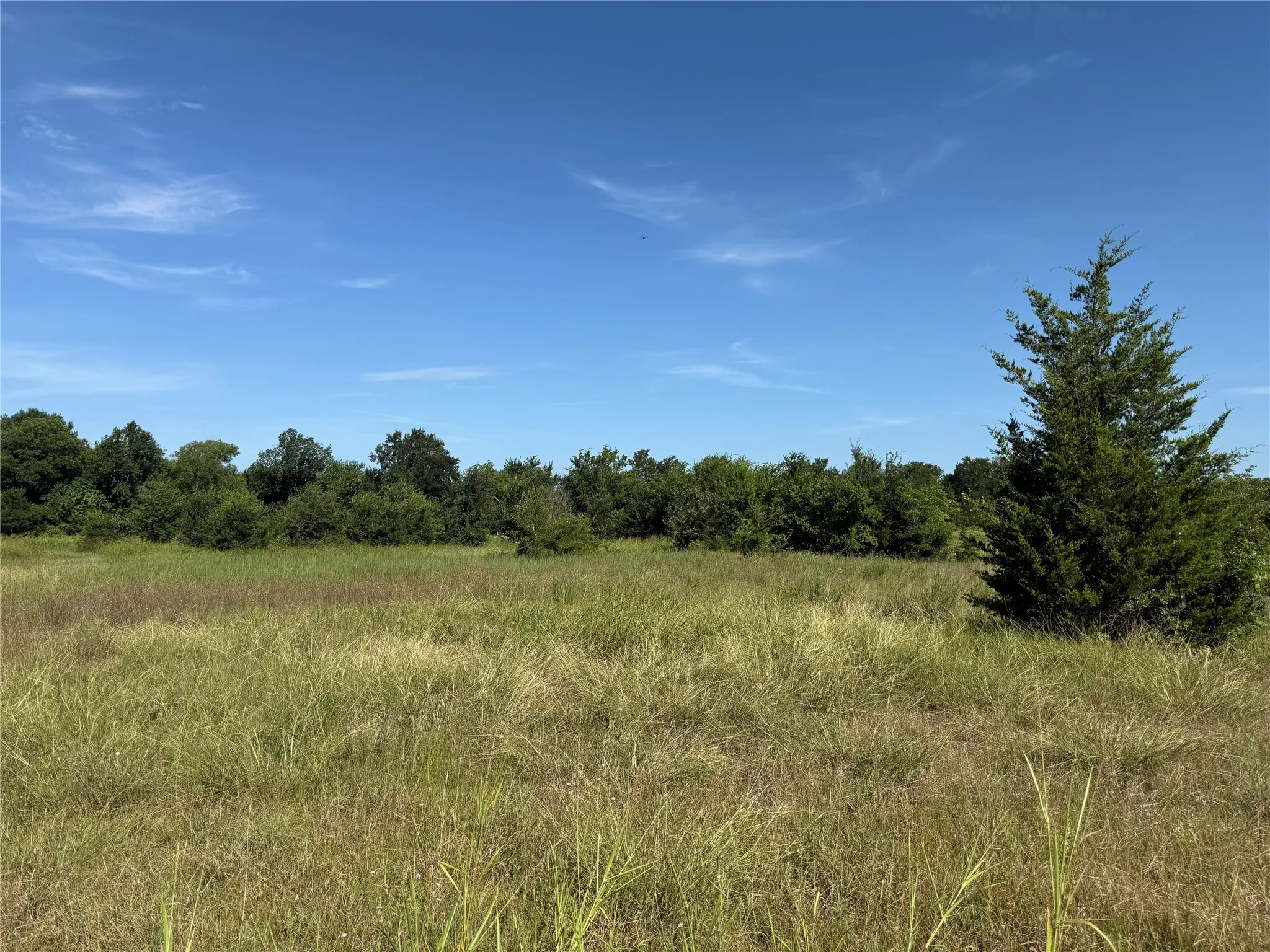 View of nature