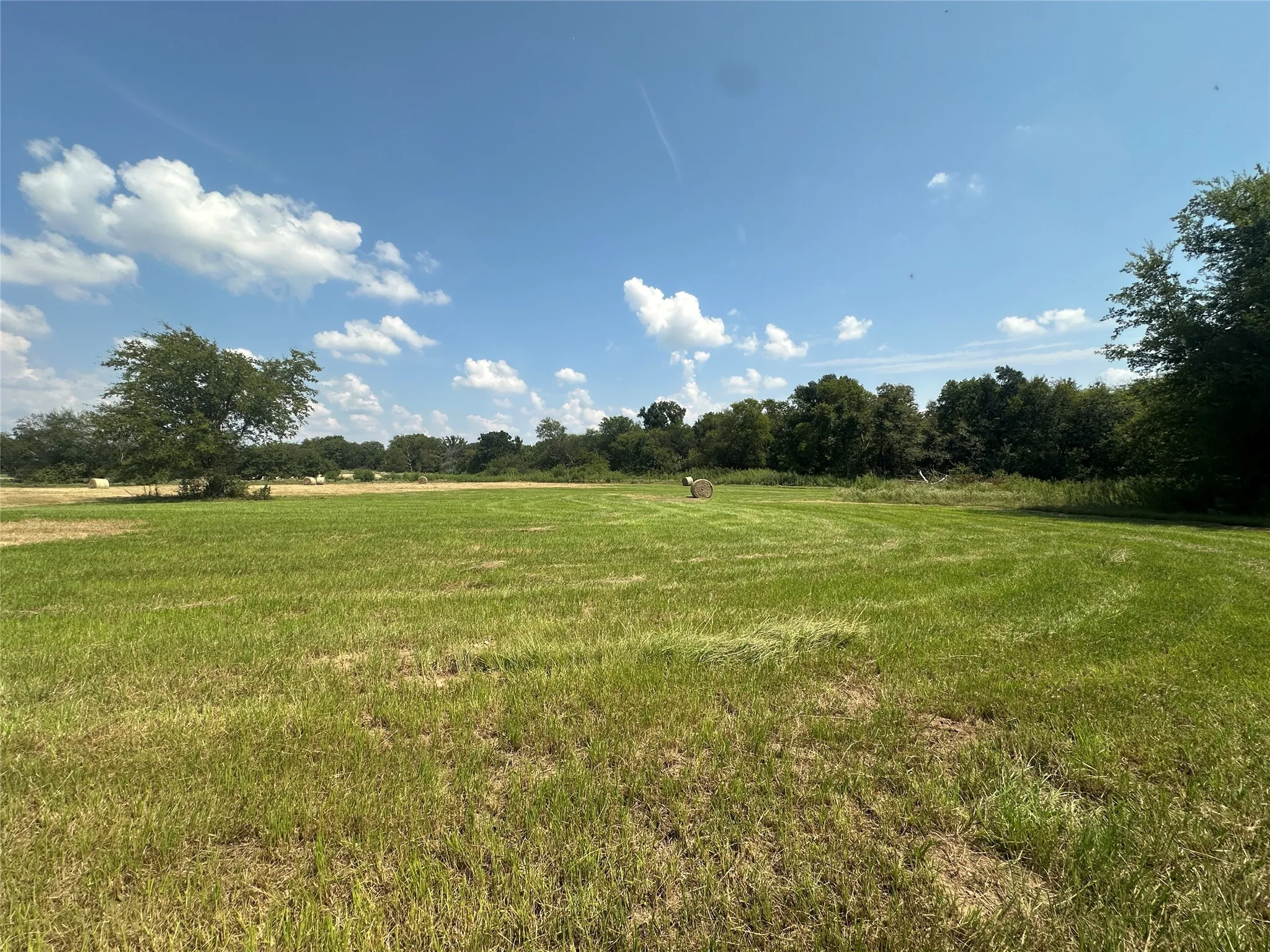 Unimproved Land For Sale in Hopkins County , 0000 County Road 2321, Sulphur Springs, Texas 75482, 0, 0, Garage spaces, 0 Sqft, built in 0, Price $302,200, mls#21007279, Real Estate Agent in Sulphur Springs, Homes For Sale in Hopkins county, Homes For Sale in Sulphur Springs, Realtor in Sulphur Springs Texas, Real Estate Brokerage Independent Realty Texas, Luminita Cordes Realtor