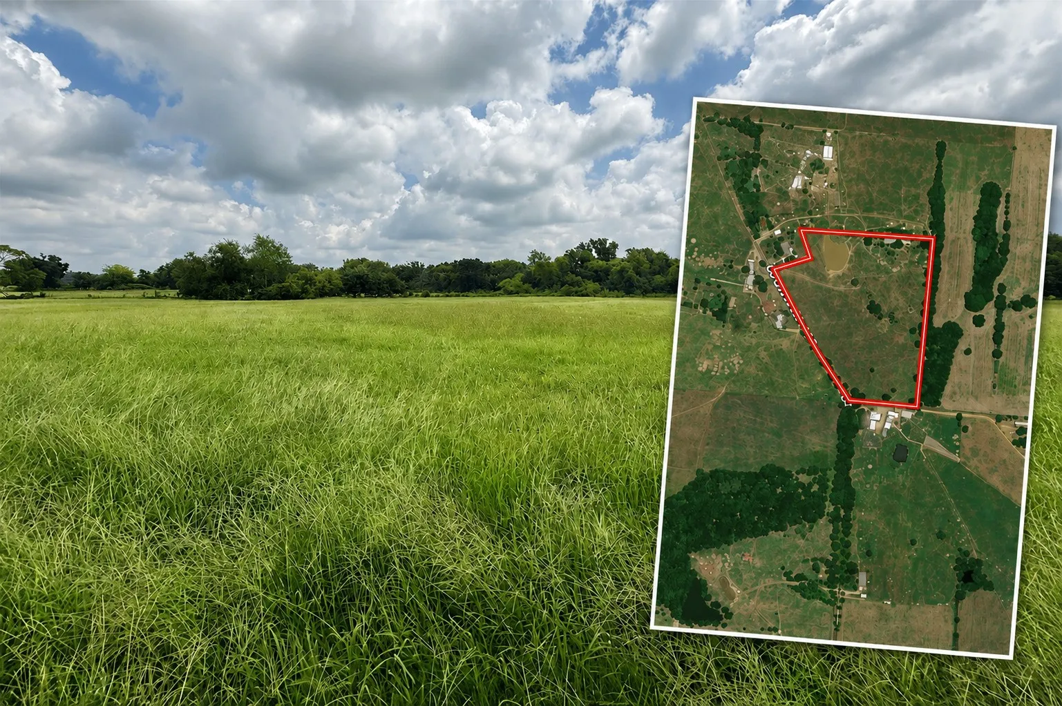 Unimproved Land For Sale in Hopkins County , 0000 County Road 2321, Sulphur Springs, Texas 75482, 0, 0, Garage spaces, 0 Sqft, built in 0, Price $302,200, mls#21007279, Real Estate Agent in Sulphur Springs, Homes For Sale in Hopkins county, Homes For Sale in Sulphur Springs, Realtor in Sulphur Springs Texas, Real Estate Brokerage Independent Realty Texas, Luminita Cordes Realtor