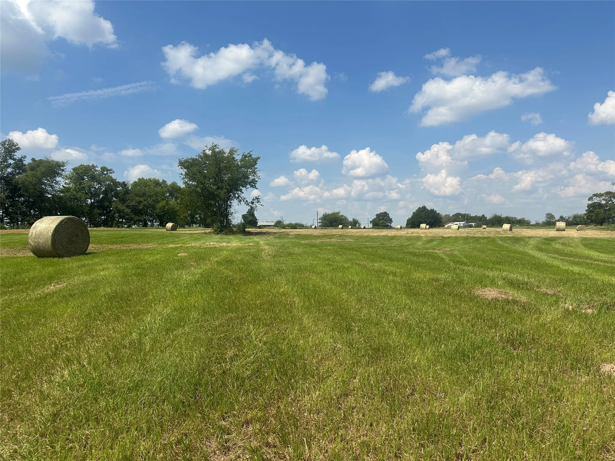 Unimproved Land For Sale in Hopkins County , 0000 County Road 2321, Sulphur Springs, Texas 75482, 0, 0, Garage spaces, 0 Sqft, built in 0, Price $302,200, mls#21007279, Real Estate Agent in Sulphur Springs, Homes For Sale in Hopkins county, Homes For Sale in Sulphur Springs, Realtor in Sulphur Springs Texas, Real Estate Brokerage Independent Realty Texas, Luminita Cordes Realtor