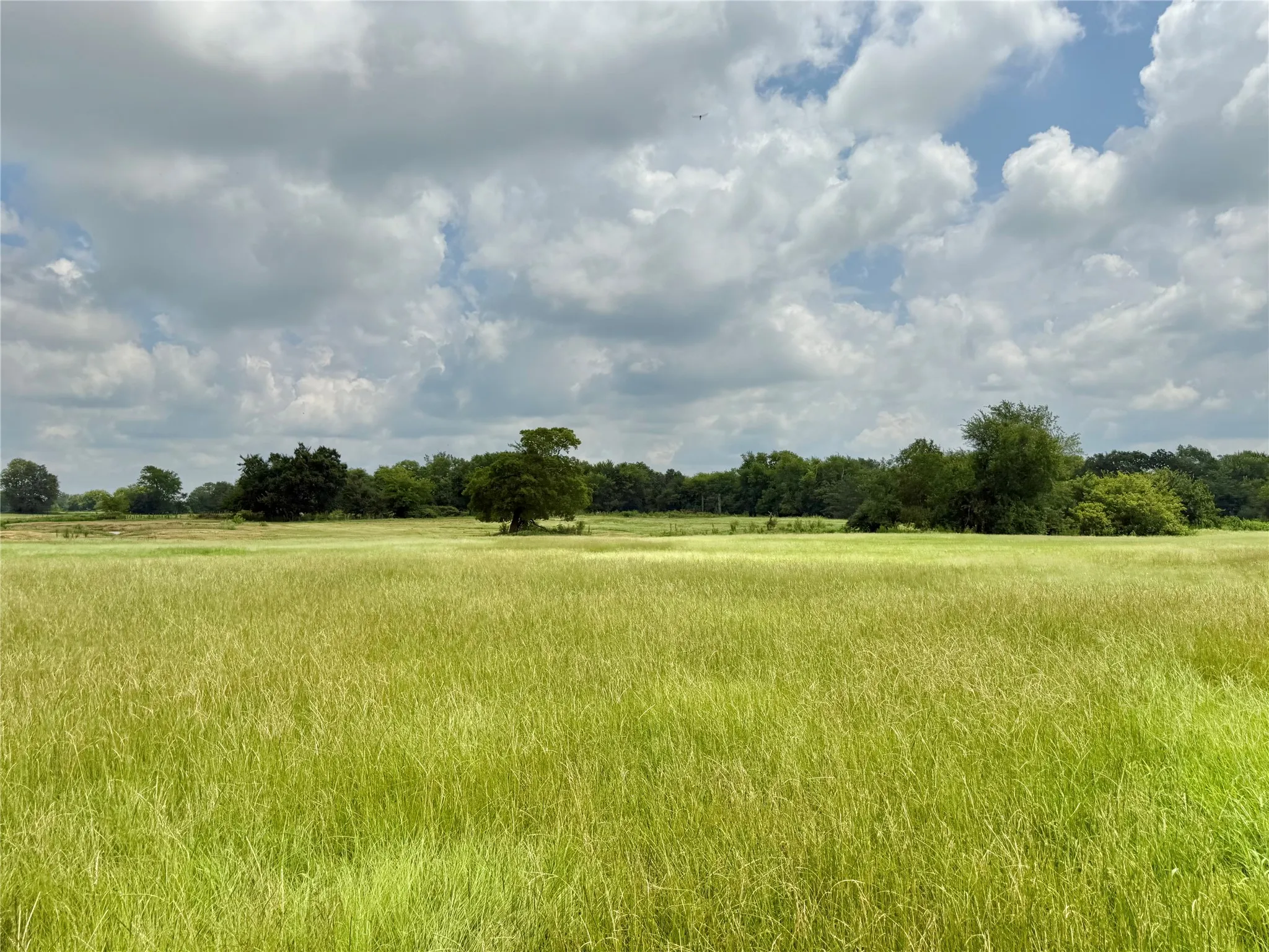 Unimproved Land For Sale in Hopkins County , 0000 County Road 2321, Sulphur Springs, Texas 75482, 0, 0, Garage spaces, 0 Sqft, built in 0, Price $302,200, mls#21007279, Real Estate Agent in Sulphur Springs, Homes For Sale in Hopkins county, Homes For Sale in Sulphur Springs, Realtor in Sulphur Springs Texas, Real Estate Brokerage Independent Realty Texas, Luminita Cordes Realtor