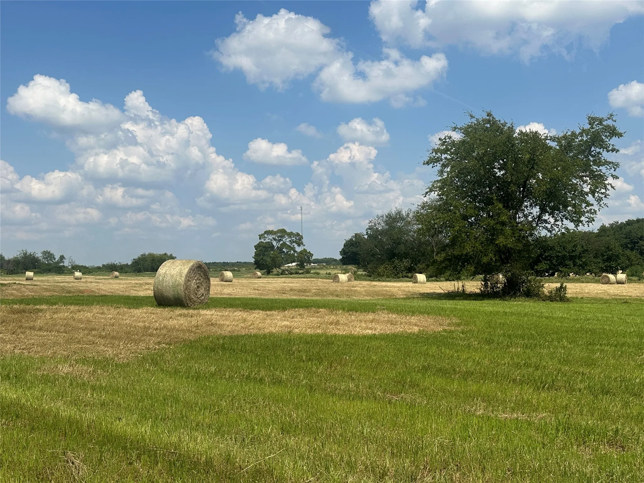 Unimproved Land For Sale in Hopkins County , 0000 County Road 2321, Sulphur Springs, Texas 75482, 0, 0, Garage spaces, 0 Sqft, built in 0, Price $302,200, mls#21007279, Real Estate Agent in Sulphur Springs, Homes For Sale in Hopkins county, Homes For Sale in Sulphur Springs, Realtor in Sulphur Springs Texas, Real Estate Brokerage Independent Realty Texas, Luminita Cordes Realtor
