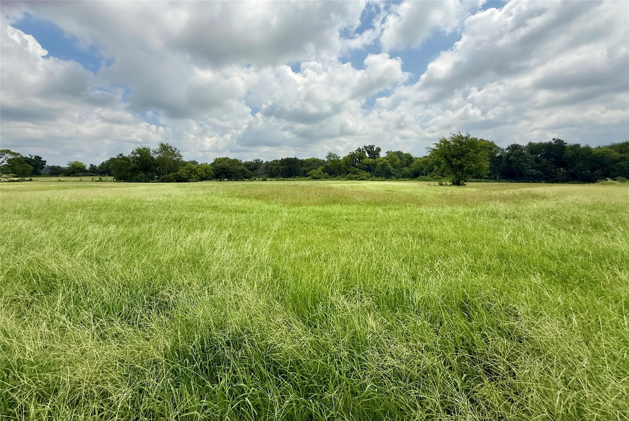 Unimproved Land For Sale in Hopkins County , 0000 County Road 2321, Sulphur Springs, Texas 75482, 0, 0, Garage spaces, 0 Sqft, built in 0, Price $302,200, mls#21007279, Real Estate Agent in Sulphur Springs, Homes For Sale in Hopkins county, Homes For Sale in Sulphur Springs, Realtor in Sulphur Springs Texas, Real Estate Brokerage Independent Realty Texas, Luminita Cordes Realtor