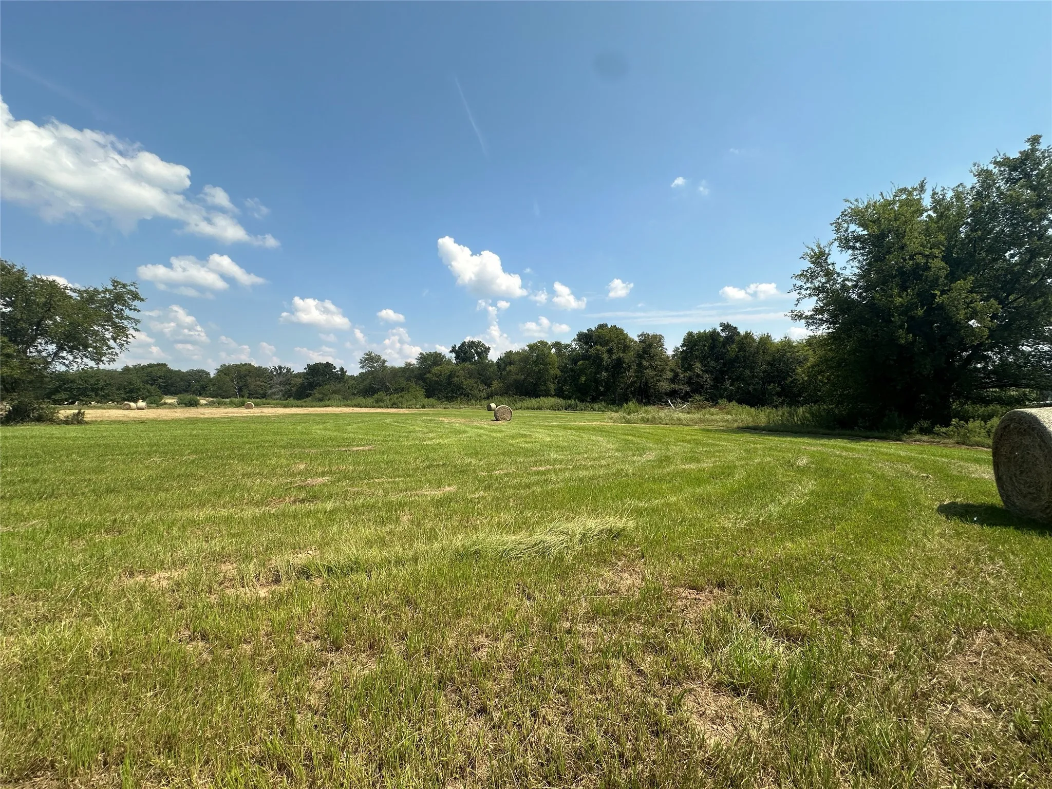 Unimproved Land For Sale in Hopkins County , 0000 County Road 2321, Sulphur Springs, Texas 75482, 0, 0, Garage spaces, 0 Sqft, built in 0, Price $302,200, mls#21007279, Real Estate Agent in Sulphur Springs, Homes For Sale in Hopkins county, Homes For Sale in Sulphur Springs, Realtor in Sulphur Springs Texas, Real Estate Brokerage Independent Realty Texas, Luminita Cordes Realtor