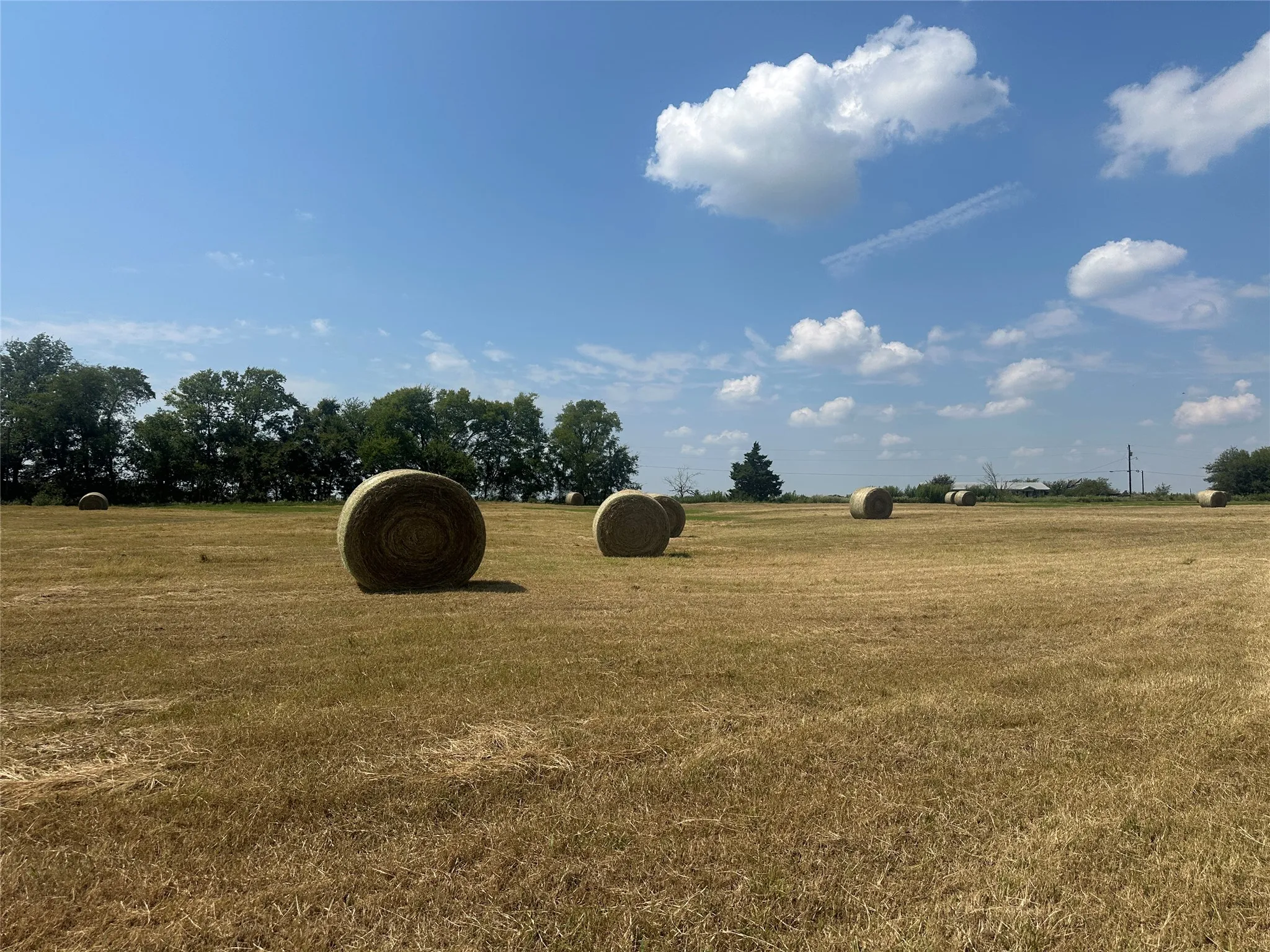 Unimproved Land For Sale in Hopkins County , 0000 County Road 2321, Sulphur Springs, Texas 75482, 0, 0, Garage spaces, 0 Sqft, built in 0, Price $302,200, mls#21007279, Real Estate Agent in Sulphur Springs, Homes For Sale in Hopkins county, Homes For Sale in Sulphur Springs, Realtor in Sulphur Springs Texas, Real Estate Brokerage Independent Realty Texas, Luminita Cordes Realtor