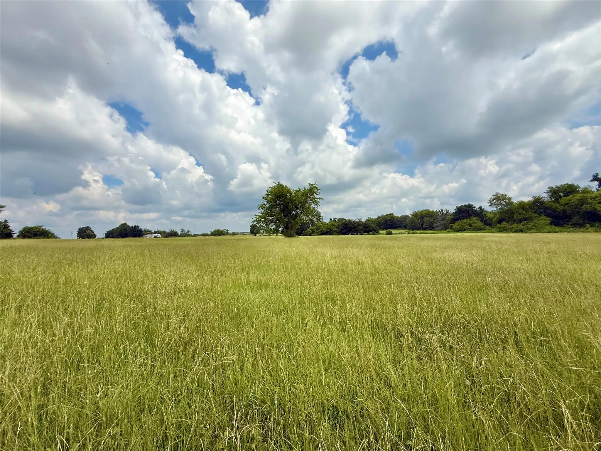 Unimproved Land For Sale in Hopkins County , 0000 County Road 2321, Sulphur Springs, Texas 75482, 0, 0, Garage spaces, 0 Sqft, built in 0, Price $302,200, mls#21007279, Real Estate Agent in Sulphur Springs, Homes For Sale in Hopkins county, Homes For Sale in Sulphur Springs, Realtor in Sulphur Springs Texas, Real Estate Brokerage Independent Realty Texas, Luminita Cordes Realtor
