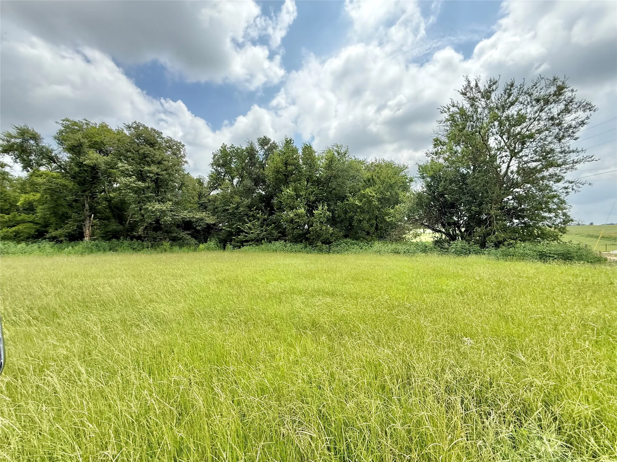 Unimproved Land For Sale in Hopkins County , 0000 County Road 2321, Sulphur Springs, Texas 75482, 0, 0, Garage spaces, 0 Sqft, built in 0, Price $302,200, mls#21007279, Real Estate Agent in Sulphur Springs, Homes For Sale in Hopkins county, Homes For Sale in Sulphur Springs, Realtor in Sulphur Springs Texas, Real Estate Brokerage Independent Realty Texas, Luminita Cordes Realtor