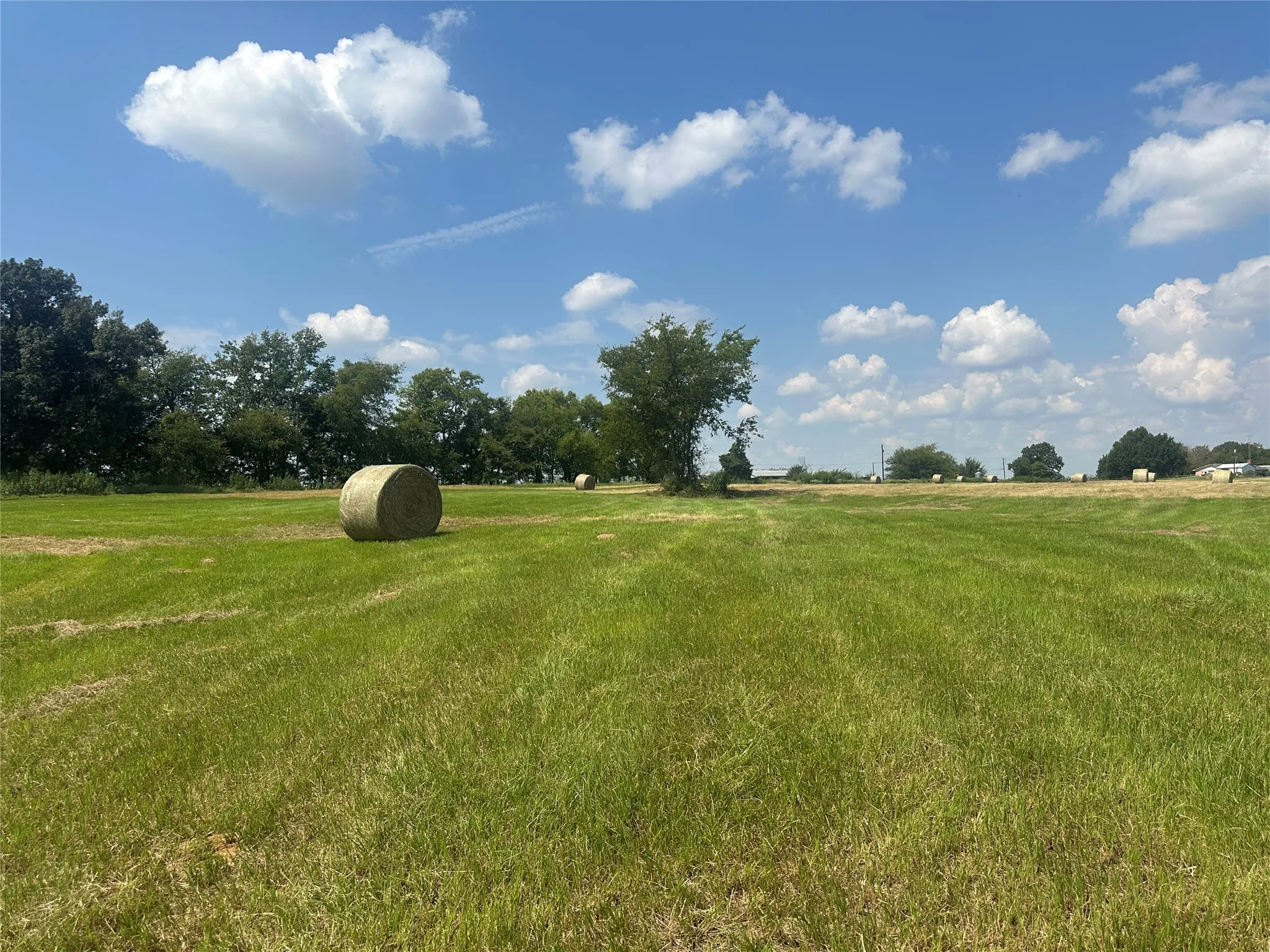 Unimproved Land For Sale in Hopkins County , 0000 County Road 2321, Sulphur Springs, Texas 75482, 0, 0, Garage spaces, 0 Sqft, built in 0, Price $302,200, mls#21007279, Real Estate Agent in Sulphur Springs, Homes For Sale in Hopkins county, Homes For Sale in Sulphur Springs, Realtor in Sulphur Springs Texas, Real Estate Brokerage Independent Realty Texas, Luminita Cordes Realtor