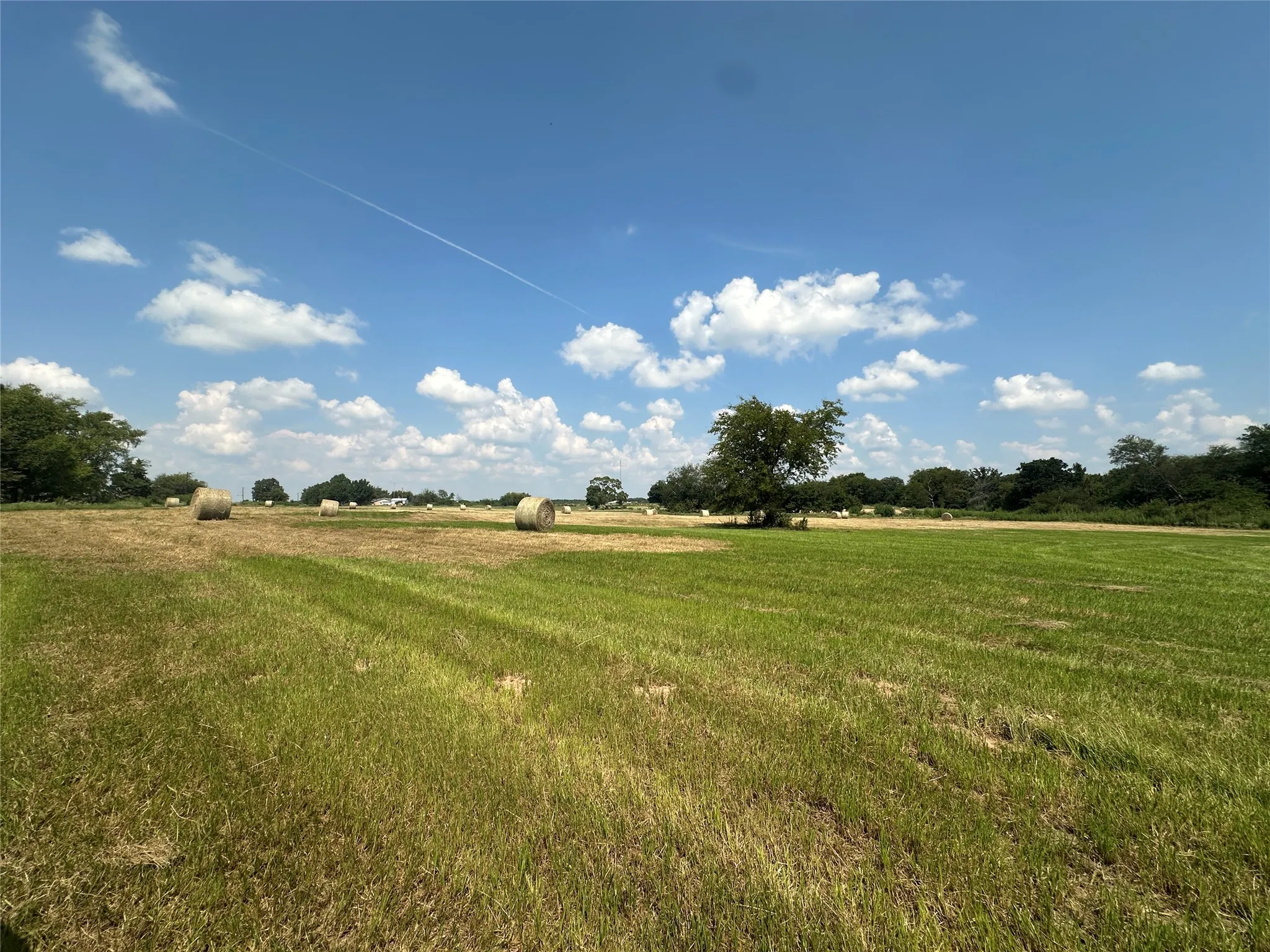 Unimproved Land For Sale in Hopkins County , 0000 County Road 2321, Sulphur Springs, Texas 75482, 0, 0, Garage spaces, 0 Sqft, built in 0, Price $302,200, mls#21007279, Real Estate Agent in Sulphur Springs, Homes For Sale in Hopkins county, Homes For Sale in Sulphur Springs, Realtor in Sulphur Springs Texas, Real Estate Brokerage Independent Realty Texas, Luminita Cordes Realtor