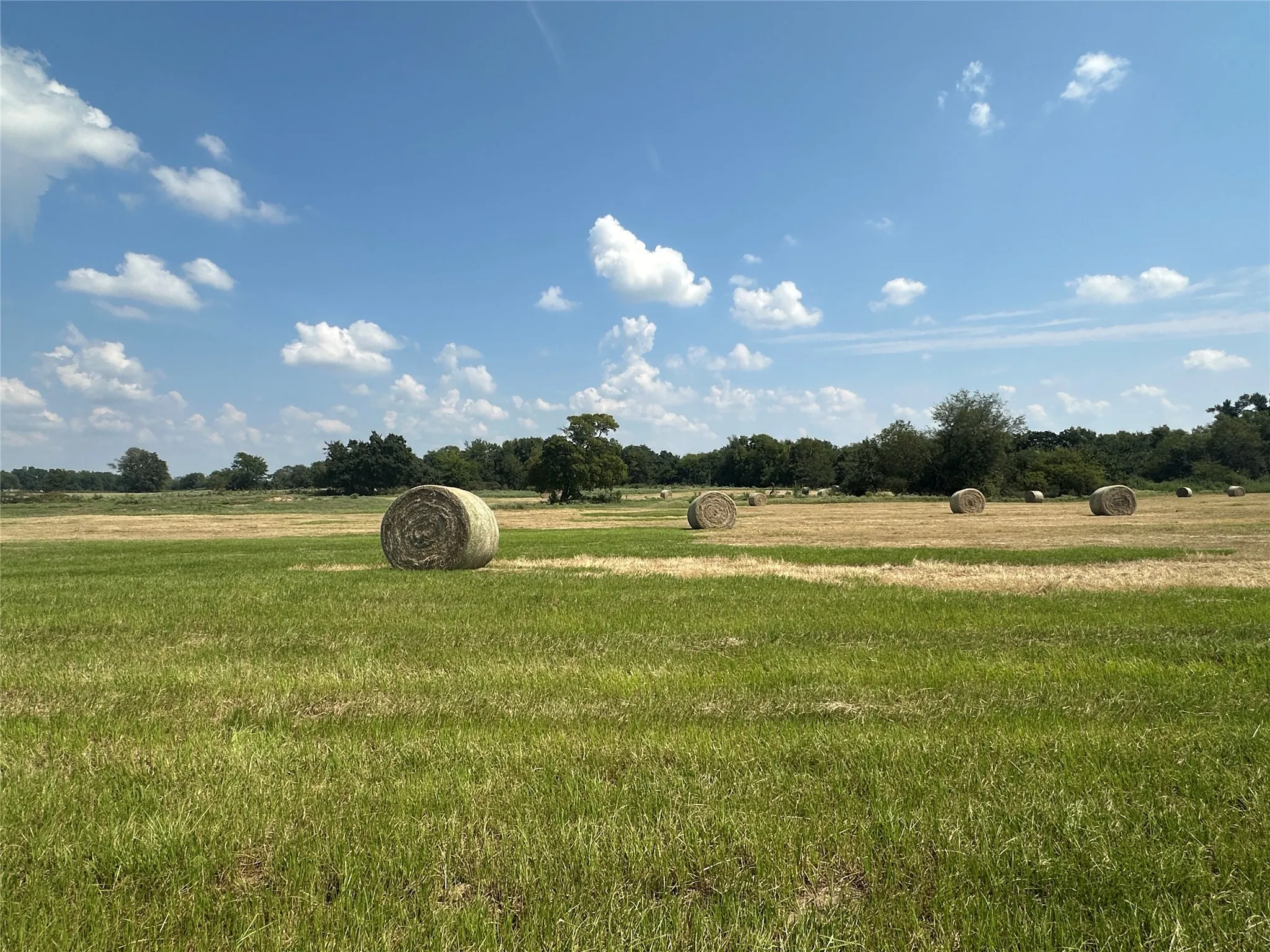 Unimproved Land For Sale in Hopkins County , 0000 County Road 2321, Sulphur Springs, Texas 75482, 0, 0, Garage spaces, 0 Sqft, built in 0, Price $302,200, mls#21007279, Real Estate Agent in Sulphur Springs, Homes For Sale in Hopkins county, Homes For Sale in Sulphur Springs, Realtor in Sulphur Springs Texas, Real Estate Brokerage Independent Realty Texas, Luminita Cordes Realtor