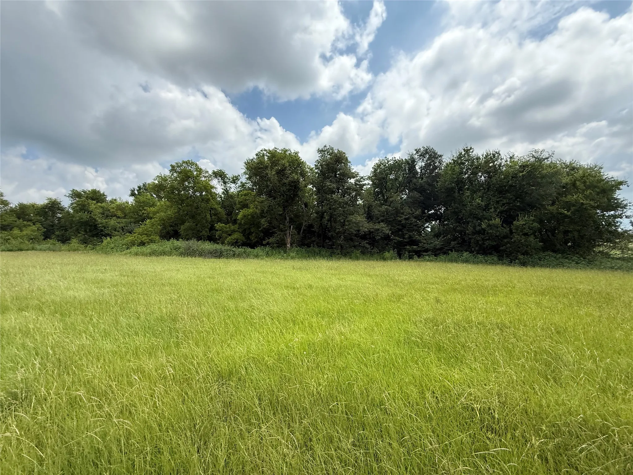 Unimproved Land For Sale in Hopkins County , 0000 County Road 2321, Sulphur Springs, Texas 75482, 0, 0, Garage spaces, 0 Sqft, built in 0, Price $302,200, mls#21007279, Real Estate Agent in Sulphur Springs, Homes For Sale in Hopkins county, Homes For Sale in Sulphur Springs, Realtor in Sulphur Springs Texas, Real Estate Brokerage Independent Realty Texas, Luminita Cordes Realtor