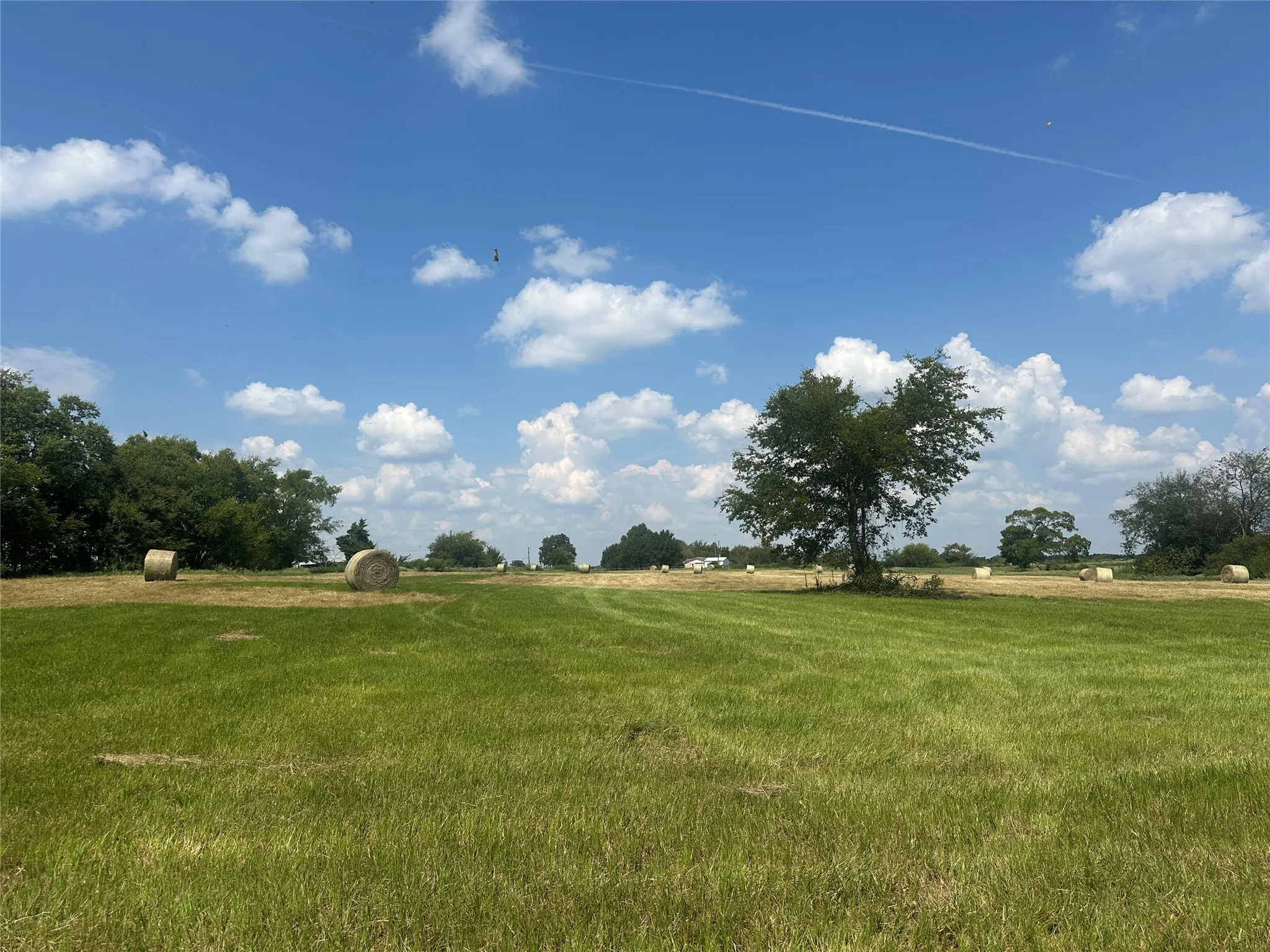 Unimproved Land For Sale in Hopkins County , 0000 County Road 2321, Sulphur Springs, Texas 75482, 0, 0, Garage spaces, 0 Sqft, built in 0, Price $302,200, mls#21007279, Real Estate Agent in Sulphur Springs, Homes For Sale in Hopkins county, Homes For Sale in Sulphur Springs, Realtor in Sulphur Springs Texas, Real Estate Brokerage Independent Realty Texas, Luminita Cordes Realtor