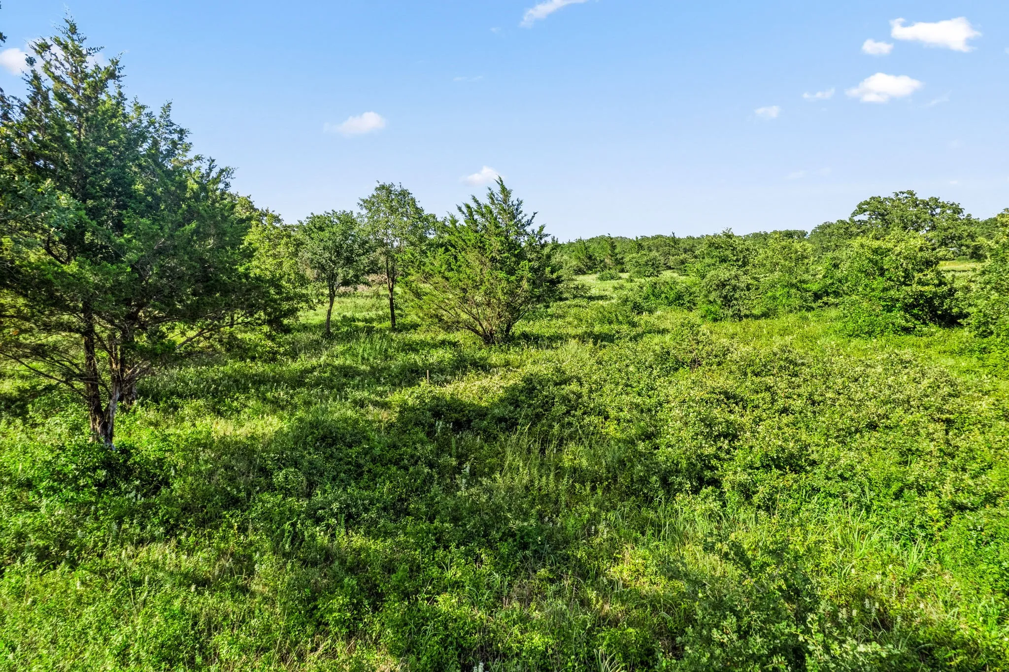 Unimproved Land For Sale in Montague County , 354 Trailride Lane, Nocona, Texas 76255, 0, 0, Garage spaces, 0 Sqft, built in 0, mls#21007503, Real Estate Agent in Nocona, Homes For Sale in Montague county, Homes For Sale in Nocona, Realtor in Nocona Texas, Real Estate Brokerage Independent Realty Texas, Luminita Cordes Realtor
