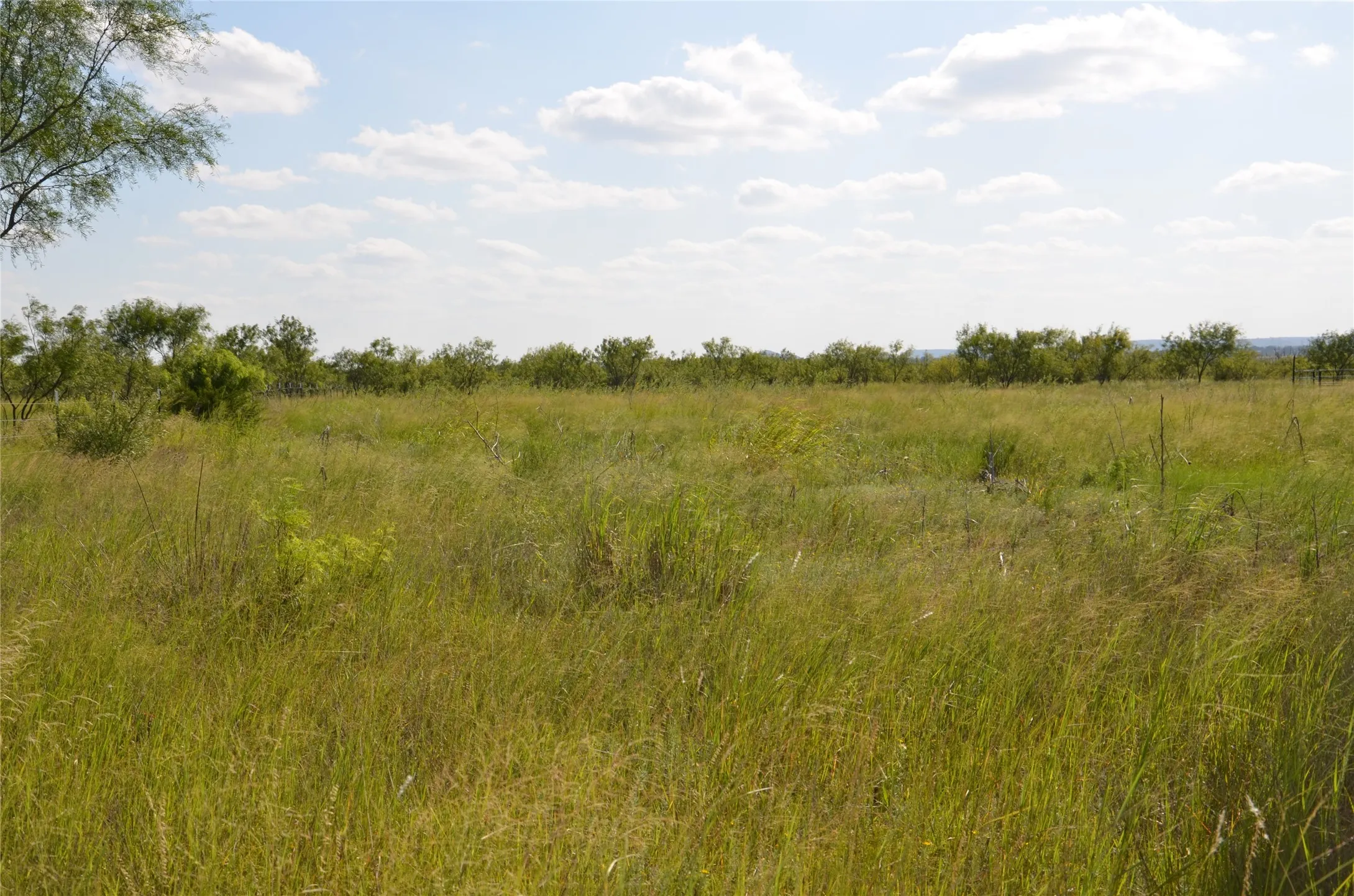 Ranch For Sale in Taylor County , TBD CR 212, Wingate, Texas 79566, 0, 0, Garage spaces, 0 Sqft, built in 0, Price $70,000, mls#21007532, Real Estate Agent in Wingate, Homes For Sale in Taylor county, Homes For Sale in Wingate, Realtor in Wingate Texas, Real Estate Brokerage Independent Realty Texas, Luminita Cordes Realtor