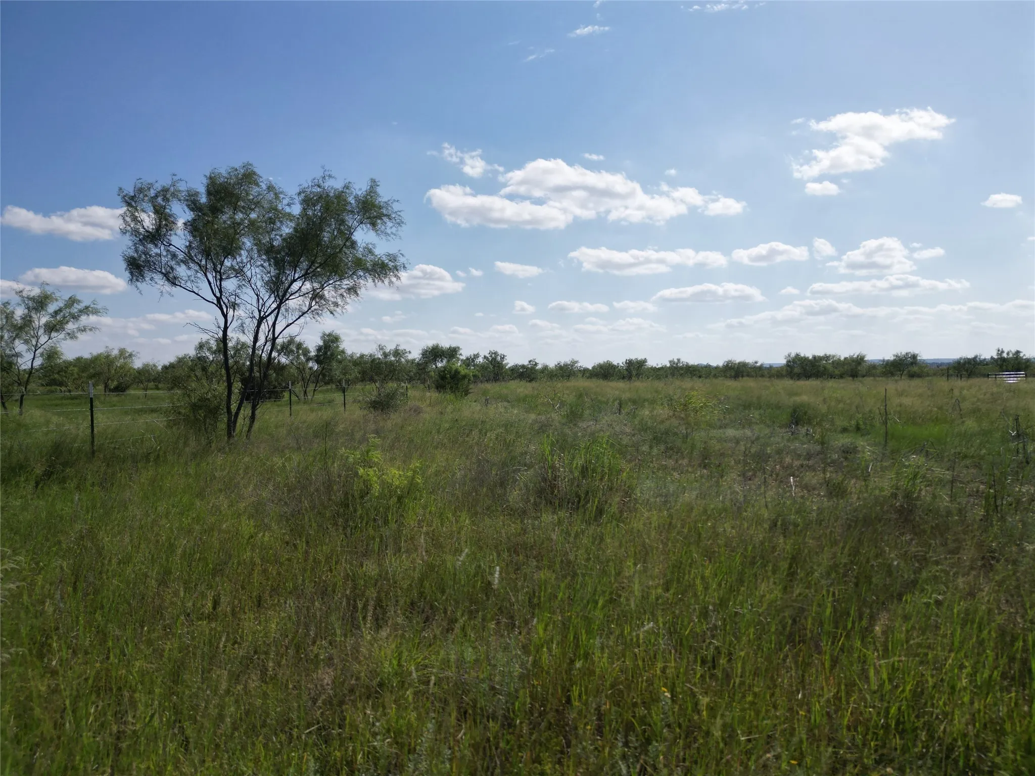 Ranch For Sale in Taylor County , TBD CR 212, Wingate, Texas 79566, 0, 0, Garage spaces, 0 Sqft, built in 0, Price $70,000, mls#21007532, Real Estate Agent in Wingate, Homes For Sale in Taylor county, Homes For Sale in Wingate, Realtor in Wingate Texas, Real Estate Brokerage Independent Realty Texas, Luminita Cordes Realtor