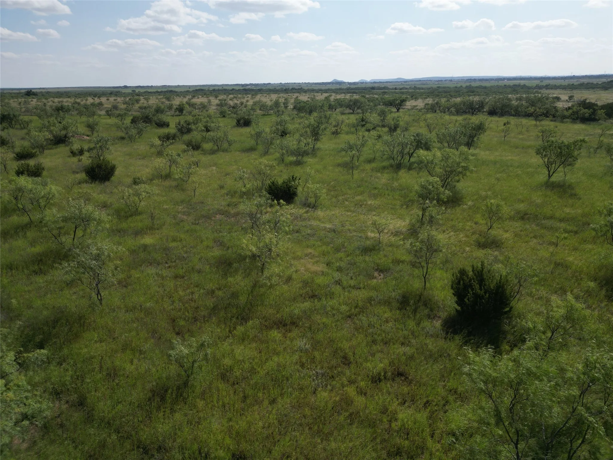Ranch For Sale in Taylor County , TBD CR 212, Wingate, Texas 79566, 0, 0, Garage spaces, 0 Sqft, built in 0, Price $70,000, mls#21007532, Real Estate Agent in Wingate, Homes For Sale in Taylor county, Homes For Sale in Wingate, Realtor in Wingate Texas, Real Estate Brokerage Independent Realty Texas, Luminita Cordes Realtor