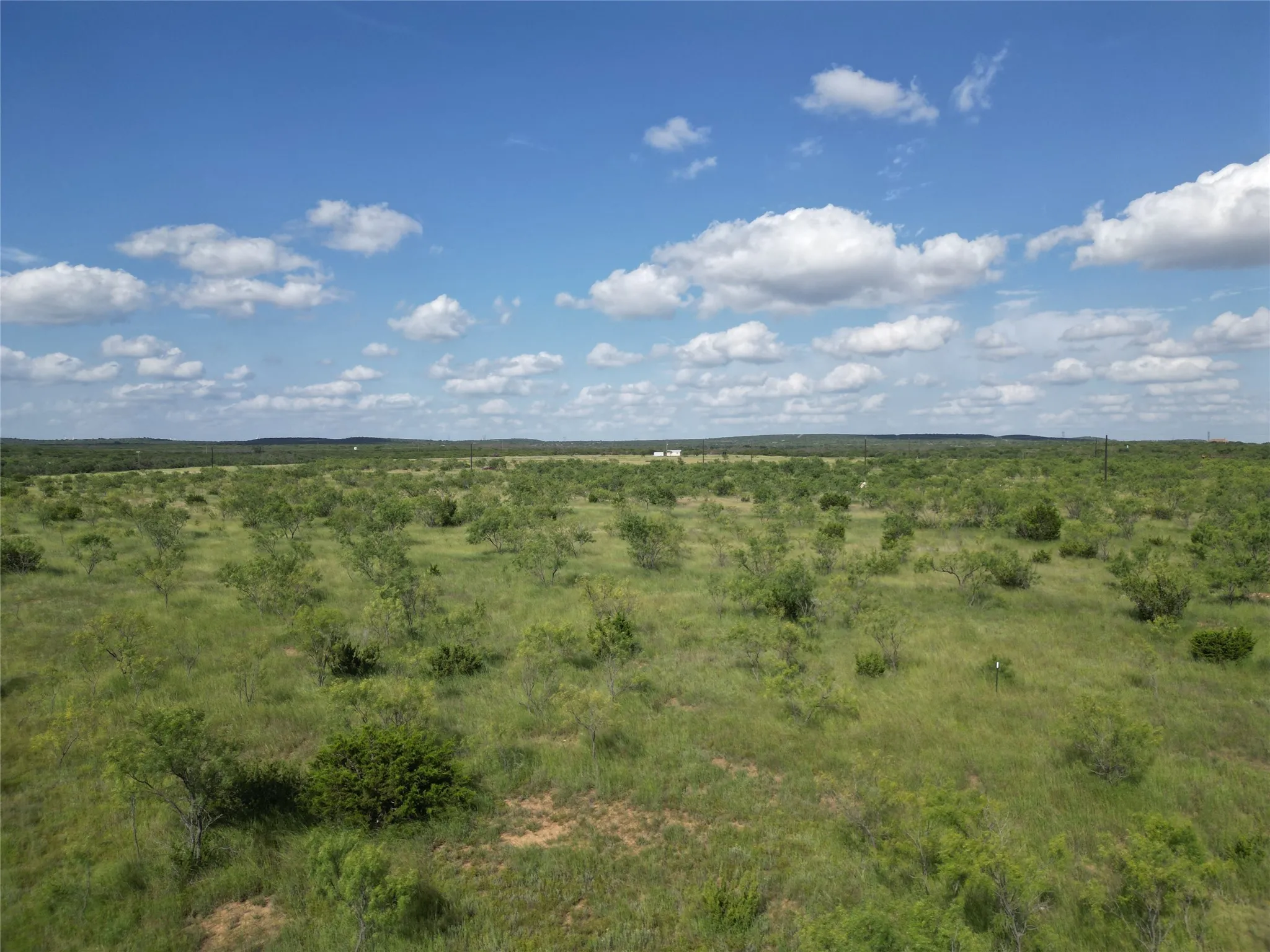 Ranch For Sale in Taylor County , TBD CR 212, Wingate, Texas 79566, 0, 0, Garage spaces, 0 Sqft, built in 0, Price $70,000, mls#21007532, Real Estate Agent in Wingate, Homes For Sale in Taylor county, Homes For Sale in Wingate, Realtor in Wingate Texas, Real Estate Brokerage Independent Realty Texas, Luminita Cordes Realtor