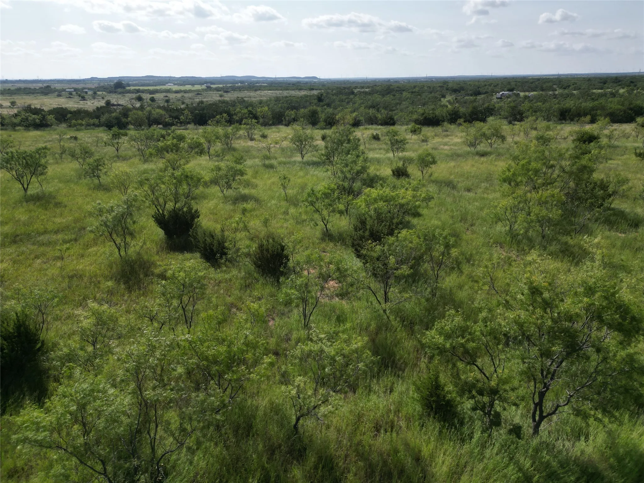 Ranch For Sale in Taylor County , TBD CR 212, Wingate, Texas 79566, 0, 0, Garage spaces, 0 Sqft, built in 0, Price $70,000, mls#21007532, Real Estate Agent in Wingate, Homes For Sale in Taylor county, Homes For Sale in Wingate, Realtor in Wingate Texas, Real Estate Brokerage Independent Realty Texas, Luminita Cordes Realtor
