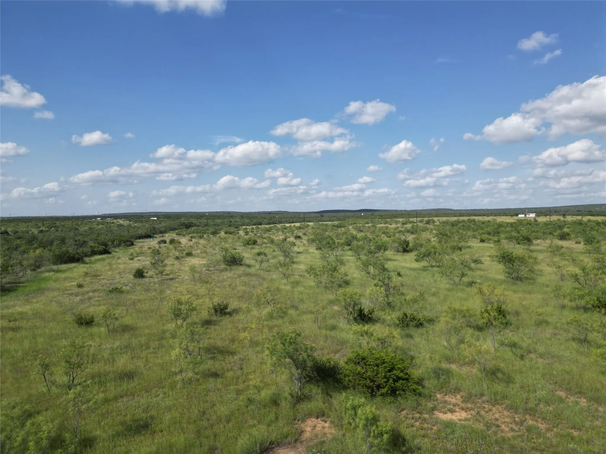 Ranch For Sale in Taylor County , TBD CR 212, Wingate, Texas 79566, 0, 0, Garage spaces, 0 Sqft, built in 0, Price $70,000, mls#21007532, Real Estate Agent in Wingate, Homes For Sale in Taylor county, Homes For Sale in Wingate, Realtor in Wingate Texas, Real Estate Brokerage Independent Realty Texas, Luminita Cordes Realtor