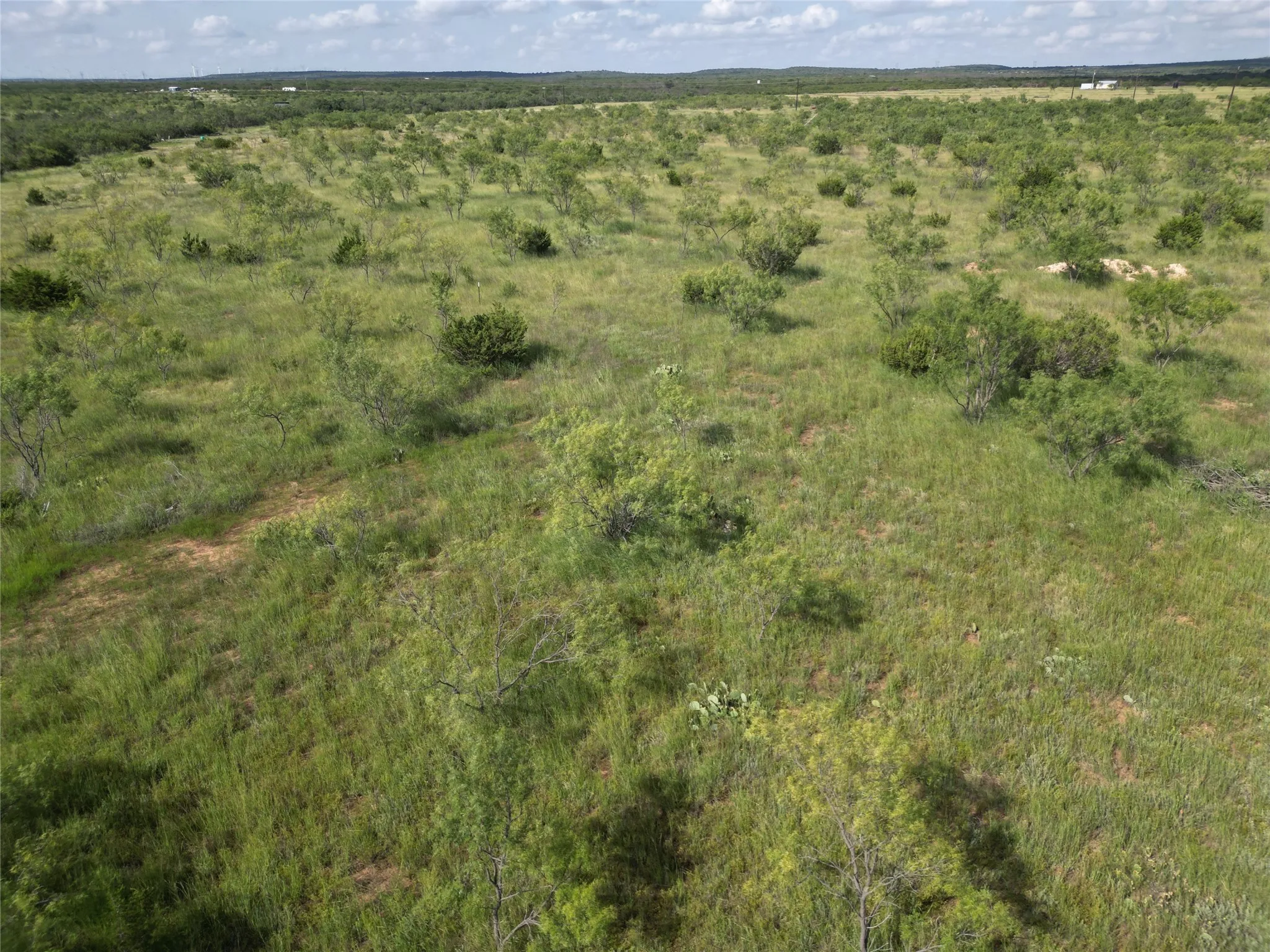 Ranch For Sale in Taylor County , TBD CR 212, Wingate, Texas 79566, 0, 0, Garage spaces, 0 Sqft, built in 0, Price $70,000, mls#21007532, Real Estate Agent in Wingate, Homes For Sale in Taylor county, Homes For Sale in Wingate, Realtor in Wingate Texas, Real Estate Brokerage Independent Realty Texas, Luminita Cordes Realtor