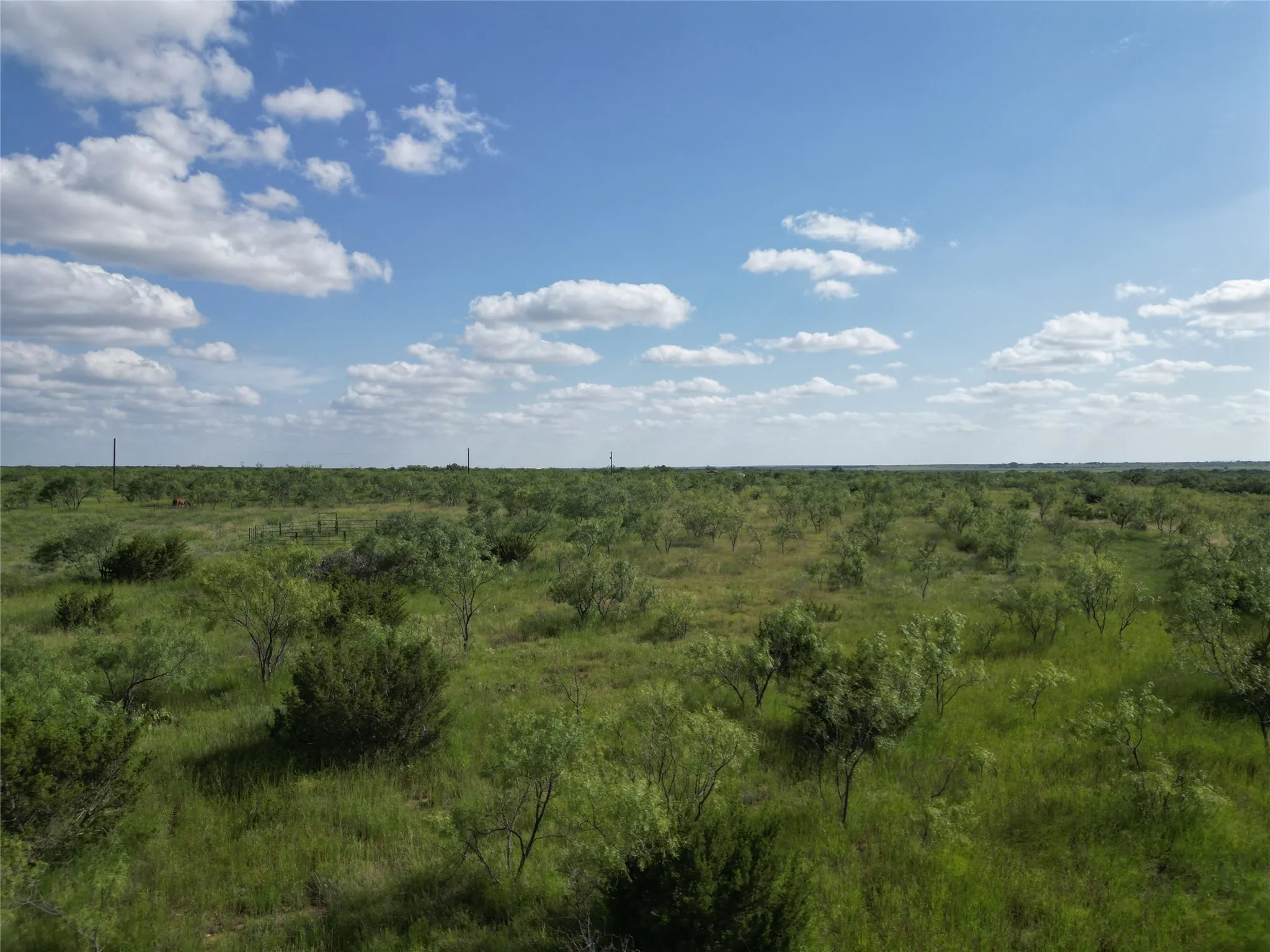 Ranch For Sale in Taylor County , TBD CR 212, Wingate, Texas 79566, 0, 0, Garage spaces, 0 Sqft, built in 0, Price $70,000, mls#21007532, Real Estate Agent in Wingate, Homes For Sale in Taylor county, Homes For Sale in Wingate, Realtor in Wingate Texas, Real Estate Brokerage Independent Realty Texas, Luminita Cordes Realtor