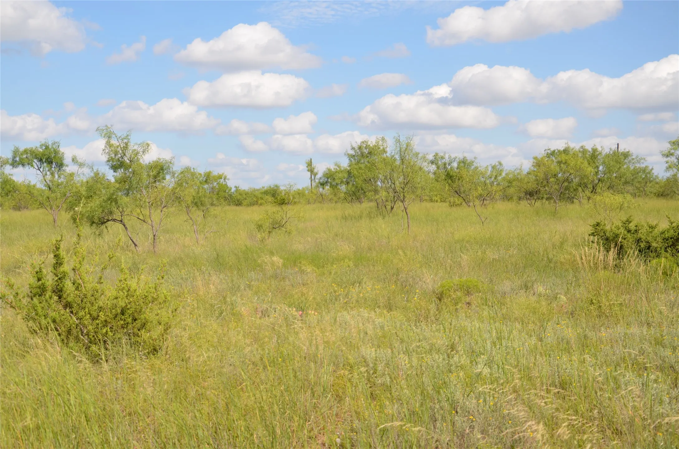 Ranch For Sale in Taylor County , TBD CR 212, Wingate, Texas 79566, 0, 0, Garage spaces, 0 Sqft, built in 0, Price $70,000, mls#21007532, Real Estate Agent in Wingate, Homes For Sale in Taylor county, Homes For Sale in Wingate, Realtor in Wingate Texas, Real Estate Brokerage Independent Realty Texas, Luminita Cordes Realtor