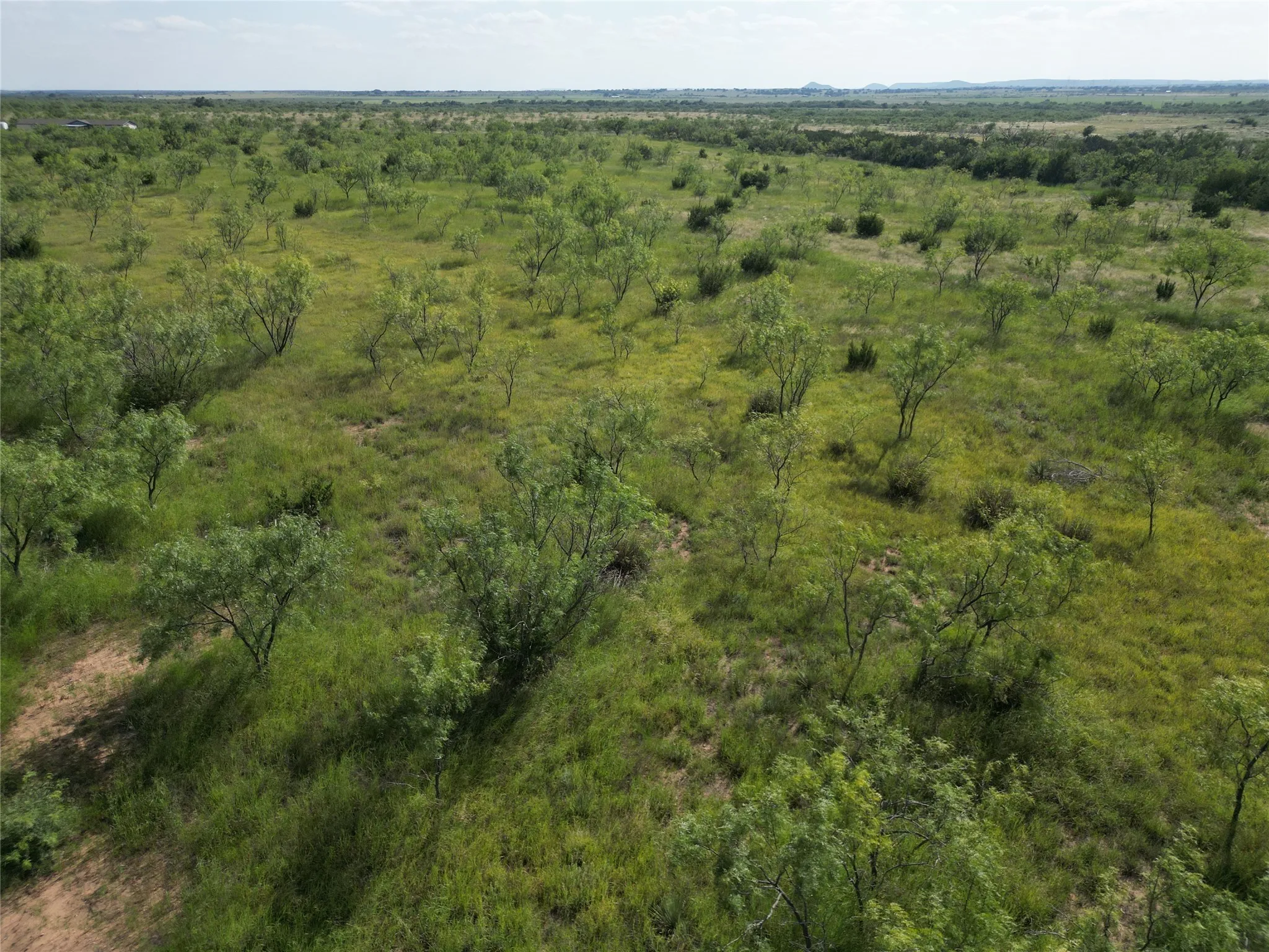 Ranch For Sale in Taylor County , TBD CR 212, Wingate, Texas 79566, 0, 0, Garage spaces, 0 Sqft, built in 0, Price $70,000, mls#21007532, Real Estate Agent in Wingate, Homes For Sale in Taylor county, Homes For Sale in Wingate, Realtor in Wingate Texas, Real Estate Brokerage Independent Realty Texas, Luminita Cordes Realtor