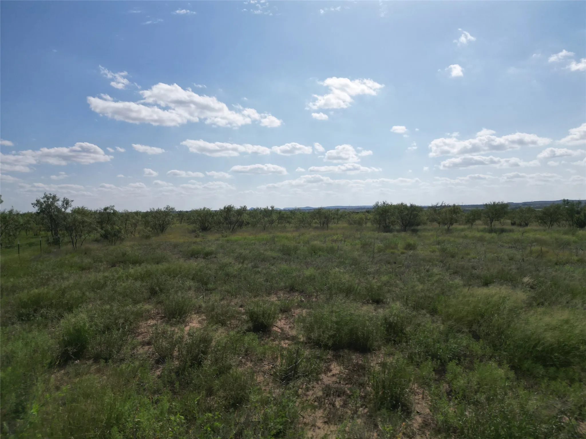Ranch For Sale in Taylor County , TBD CR 212, Wingate, Texas 79566, 0, 0, Garage spaces, 0 Sqft, built in 0, Price $70,000, mls#21007532, Real Estate Agent in Wingate, Homes For Sale in Taylor county, Homes For Sale in Wingate, Realtor in Wingate Texas, Real Estate Brokerage Independent Realty Texas, Luminita Cordes Realtor