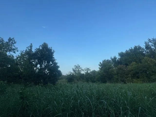 Unimproved Land For Sale in Limestone County , tbd FM 1512, Groesbeck, Texas 76642, 0, 0, Garage spaces, 0 Sqft, built in 0, mls#21007844, Real Estate Agent in Groesbeck, Homes For Sale in Limestone county, Homes For Sale in Groesbeck, Realtor in Groesbeck Texas, Real Estate Brokerage Independent Realty Texas, Luminita Cordes Realtor