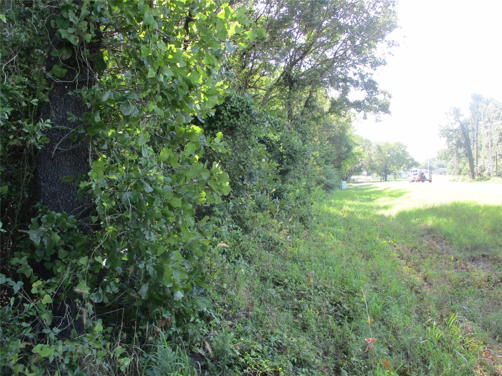 Unimproved Land For Sale in Rains County , TBD RS COUNTY ROAD 4020, Emory, Texas 75440, 0, 0, Garage spaces, 0 Sqft, built in 0, Price $3,180,000, mls#21008391, Real Estate Agent in Emory, Homes For Sale in Rains county, Homes For Sale in Emory, Realtor in Emory Texas, Real Estate Brokerage Independent Realty Texas, Luminita Cordes Realtor