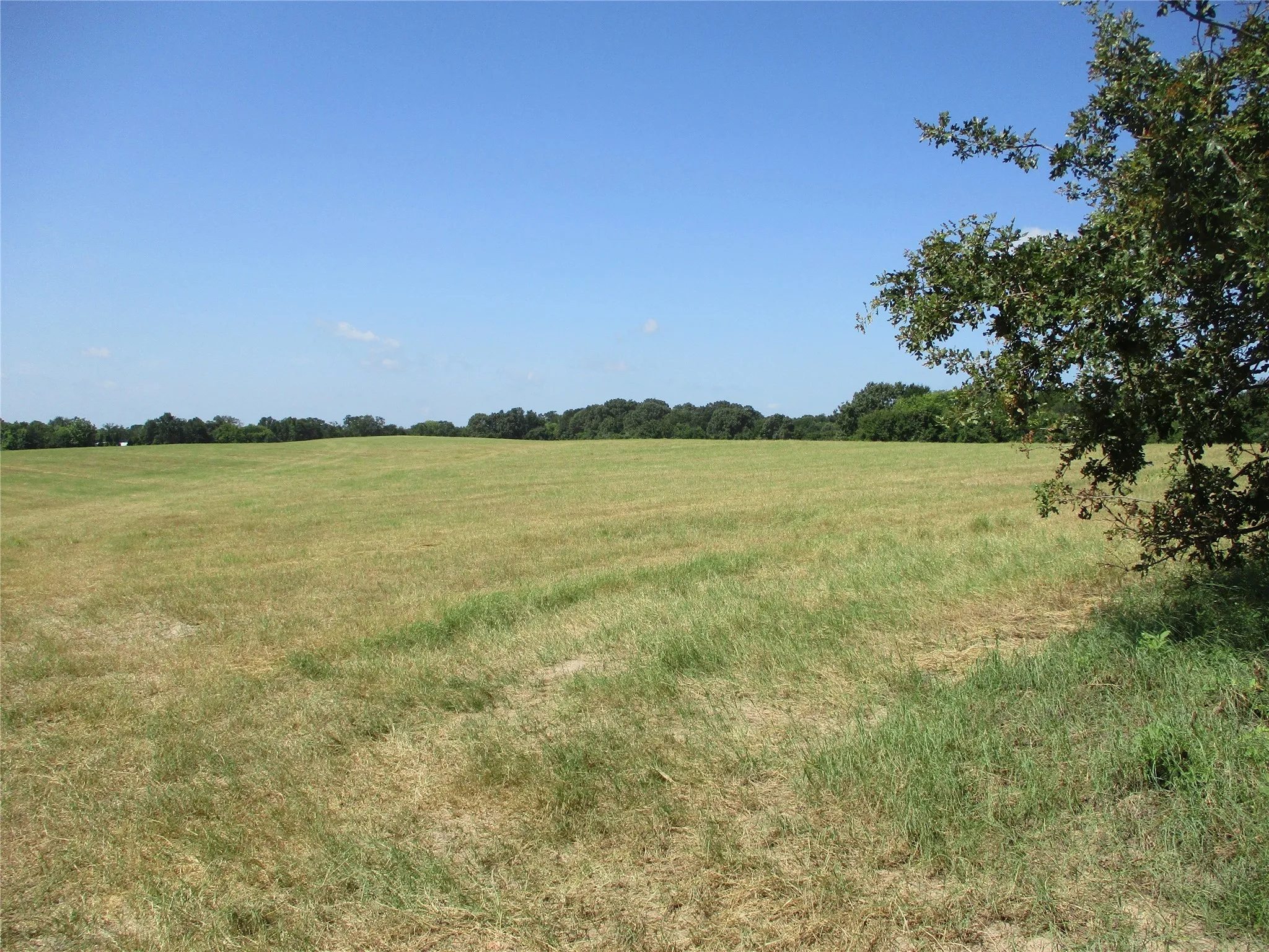 Unimproved Land For Sale in Rains County , TBD RS COUNTY ROAD 4020, Emory, Texas 75440, 0, 0, Garage spaces, 0 Sqft, built in 0, Price $3,180,000, mls#21008391, Real Estate Agent in Emory, Homes For Sale in Rains county, Homes For Sale in Emory, Realtor in Emory Texas, Real Estate Brokerage Independent Realty Texas, Luminita Cordes Realtor