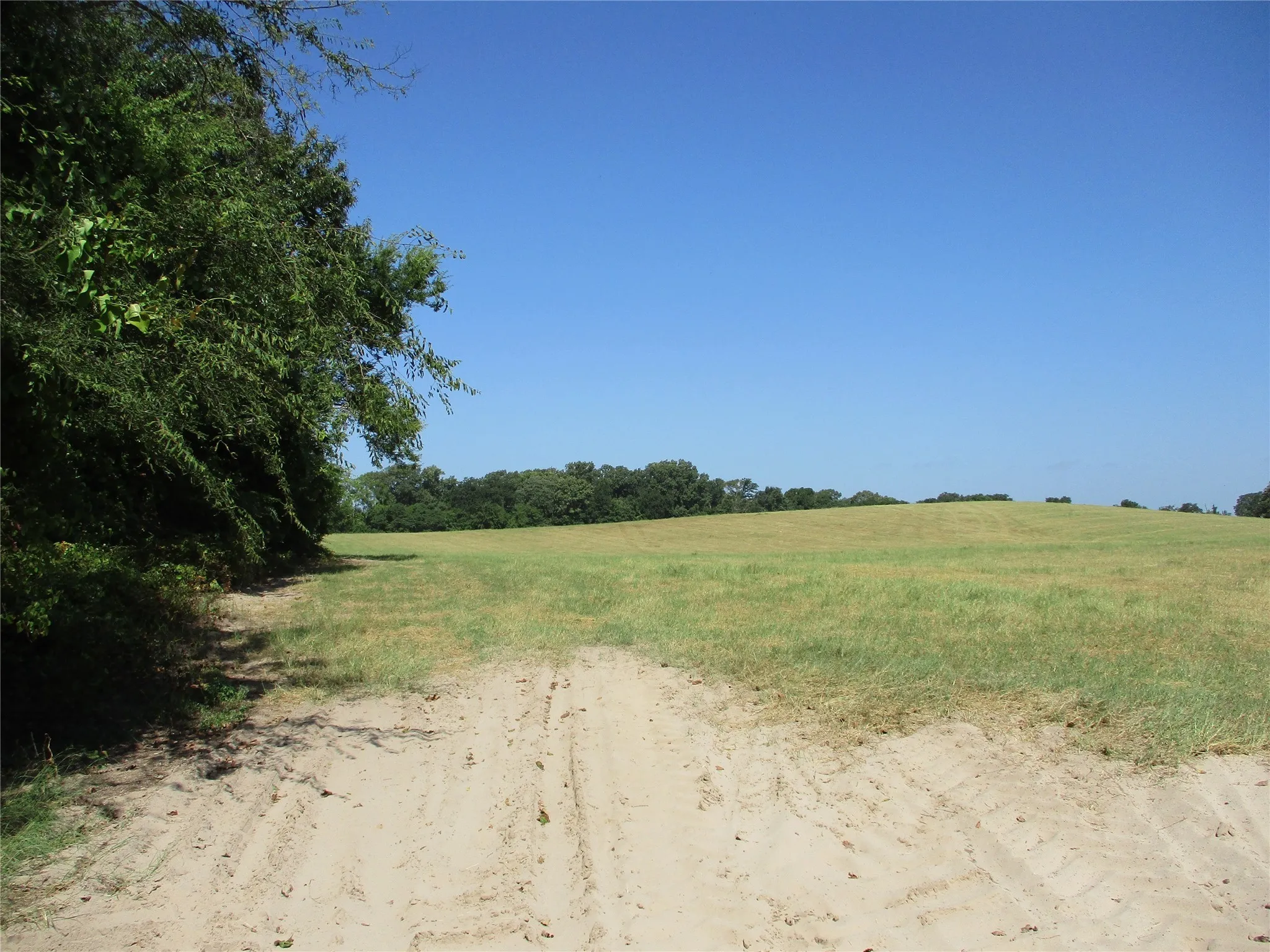 Unimproved Land For Sale in Rains County , TBD RS COUNTY ROAD 4020, Emory, Texas 75440, 0, 0, Garage spaces, 0 Sqft, built in 0, Price $3,180,000, mls#21008391, Real Estate Agent in Emory, Homes For Sale in Rains county, Homes For Sale in Emory, Realtor in Emory Texas, Real Estate Brokerage Independent Realty Texas, Luminita Cordes Realtor