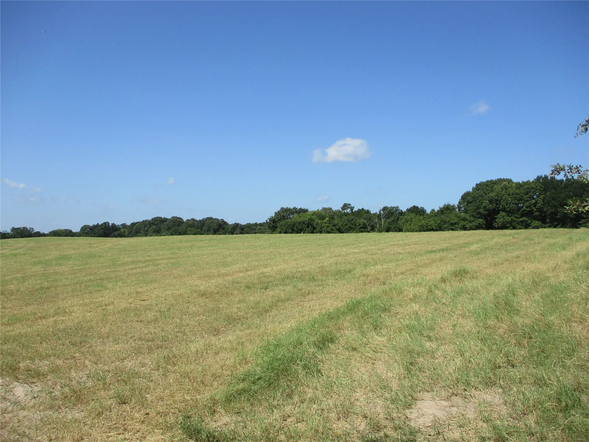 Unimproved Land For Sale in Rains County , TBD RS COUNTY ROAD 4020, Emory, Texas 75440, 0, 0, Garage spaces, 0 Sqft, built in 0, Price $3,180,000, mls#21008391, Real Estate Agent in Emory, Homes For Sale in Rains county, Homes For Sale in Emory, Realtor in Emory Texas, Real Estate Brokerage Independent Realty Texas, Luminita Cordes Realtor