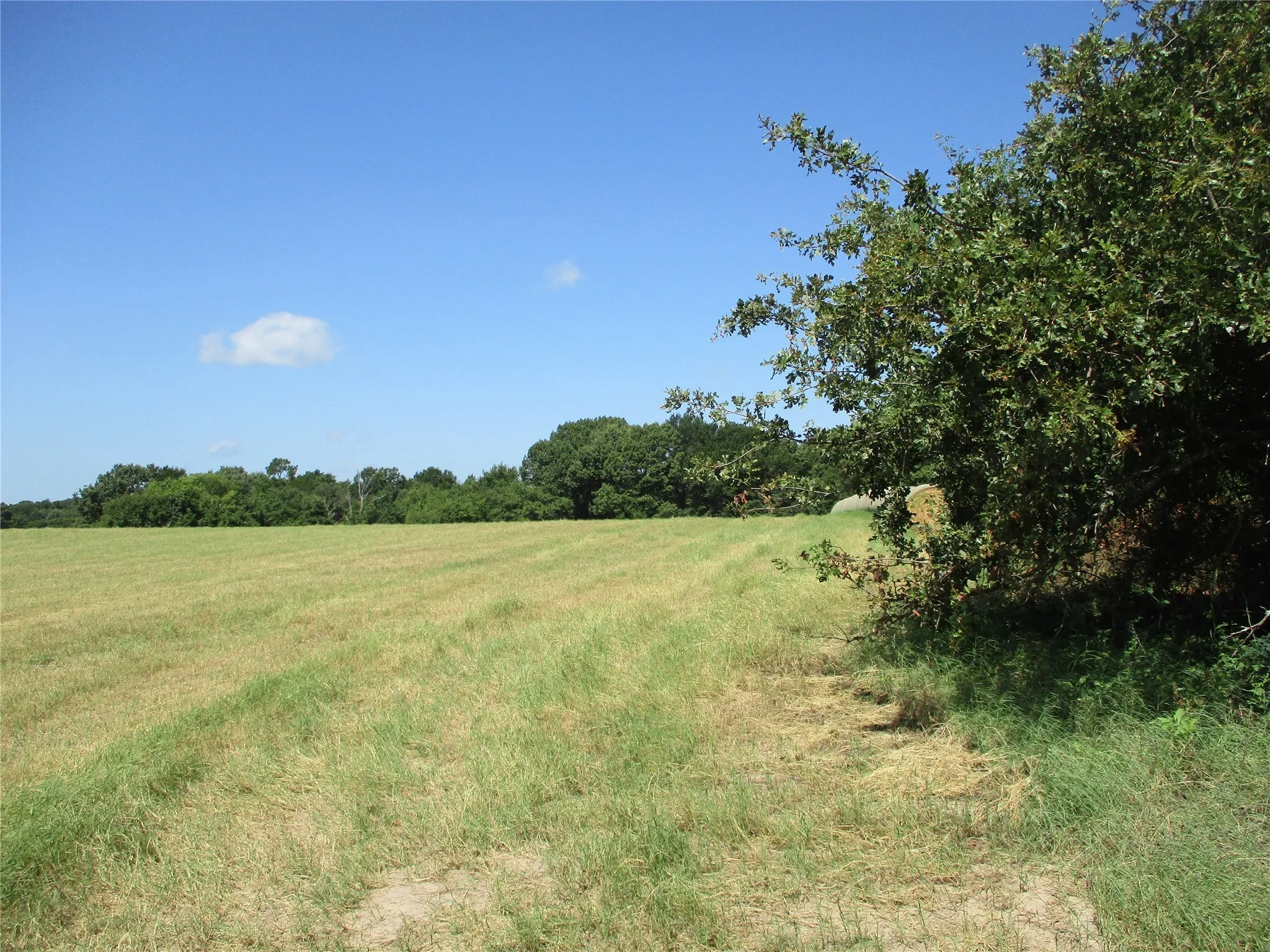 Unimproved Land For Sale in Rains County , TBD RS COUNTY ROAD 4020, Emory, Texas 75440, 0, 0, Garage spaces, 0 Sqft, built in 0, Price $3,180,000, mls#21008391, Real Estate Agent in Emory, Homes For Sale in Rains county, Homes For Sale in Emory, Realtor in Emory Texas, Real Estate Brokerage Independent Realty Texas, Luminita Cordes Realtor