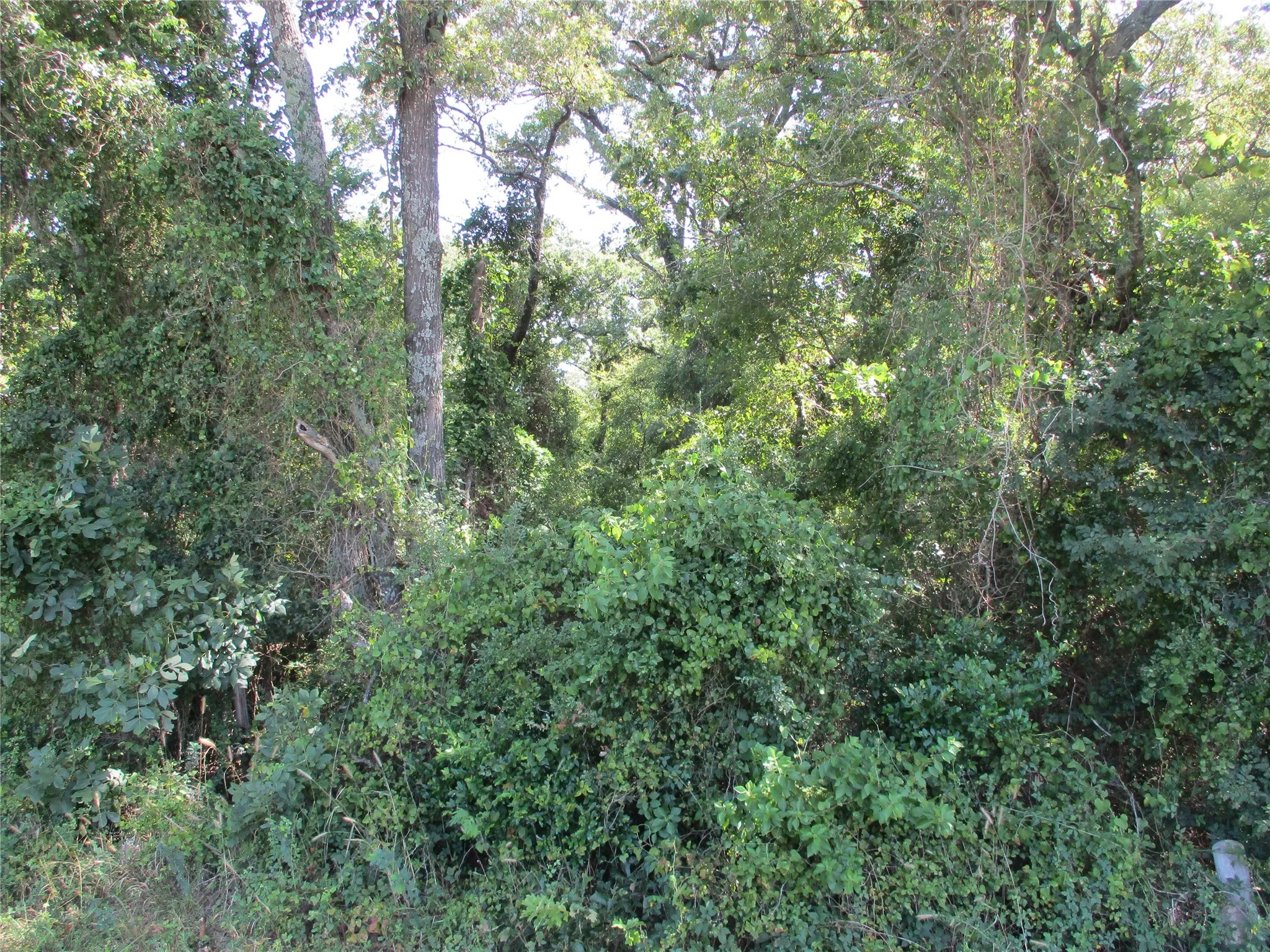 Unimproved Land For Sale in Rains County , TBD RS COUNTY ROAD 4020, Emory, Texas 75440, 0, 0, Garage spaces, 0 Sqft, built in 0, Price $3,180,000, mls#21008391, Real Estate Agent in Emory, Homes For Sale in Rains county, Homes For Sale in Emory, Realtor in Emory Texas, Real Estate Brokerage Independent Realty Texas, Luminita Cordes Realtor