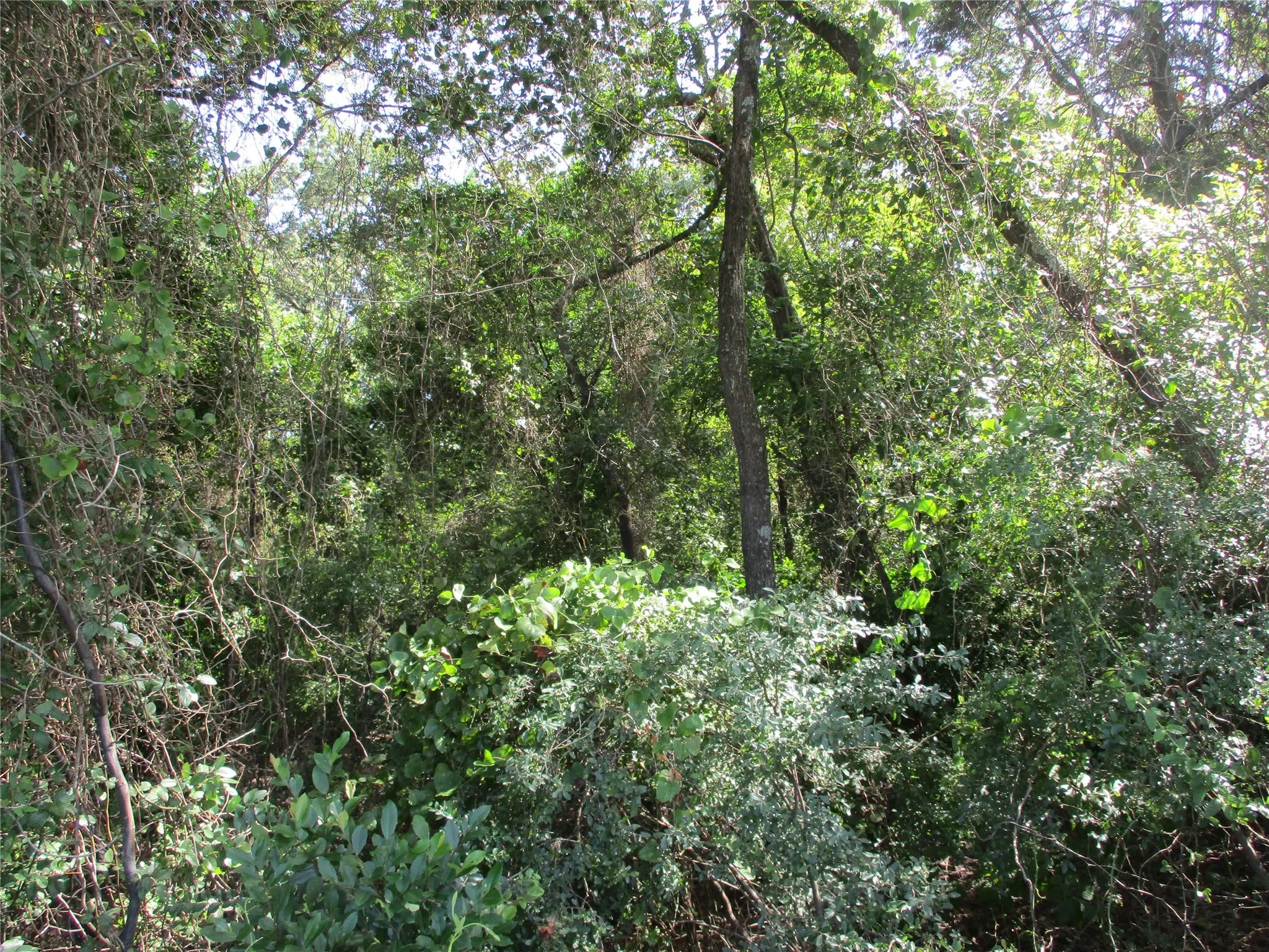 Unimproved Land For Sale in Rains County , TBD RS COUNTY ROAD 4020, Emory, Texas 75440, 0, 0, Garage spaces, 0 Sqft, built in 0, Price $3,180,000, mls#21008391, Real Estate Agent in Emory, Homes For Sale in Rains county, Homes For Sale in Emory, Realtor in Emory Texas, Real Estate Brokerage Independent Realty Texas, Luminita Cordes Realtor