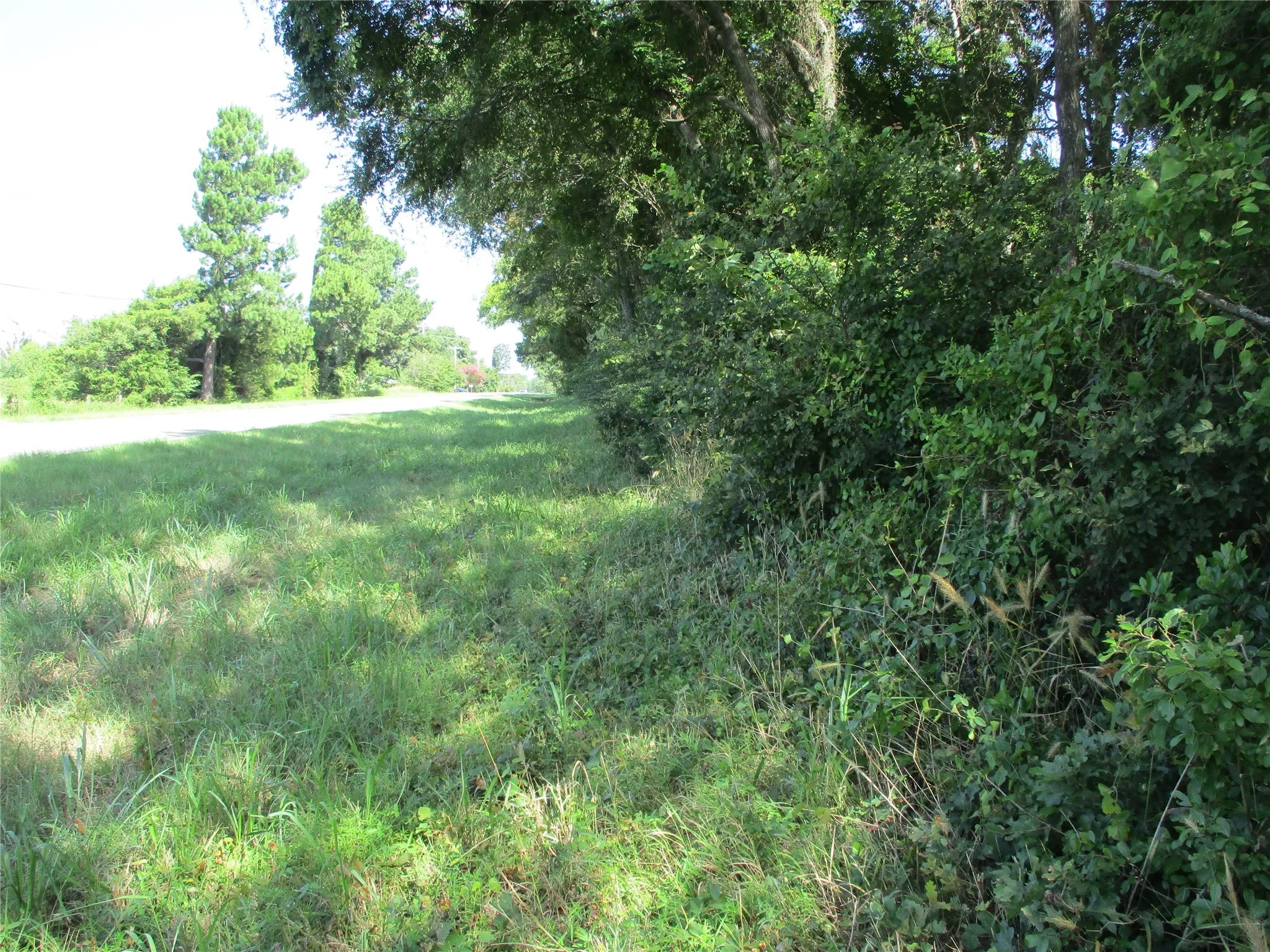 Unimproved Land For Sale in Rains County , TBD RS COUNTY ROAD 4020, Emory, Texas 75440, 0, 0, Garage spaces, 0 Sqft, built in 0, Price $3,180,000, mls#21008391, Real Estate Agent in Emory, Homes For Sale in Rains county, Homes For Sale in Emory, Realtor in Emory Texas, Real Estate Brokerage Independent Realty Texas, Luminita Cordes Realtor