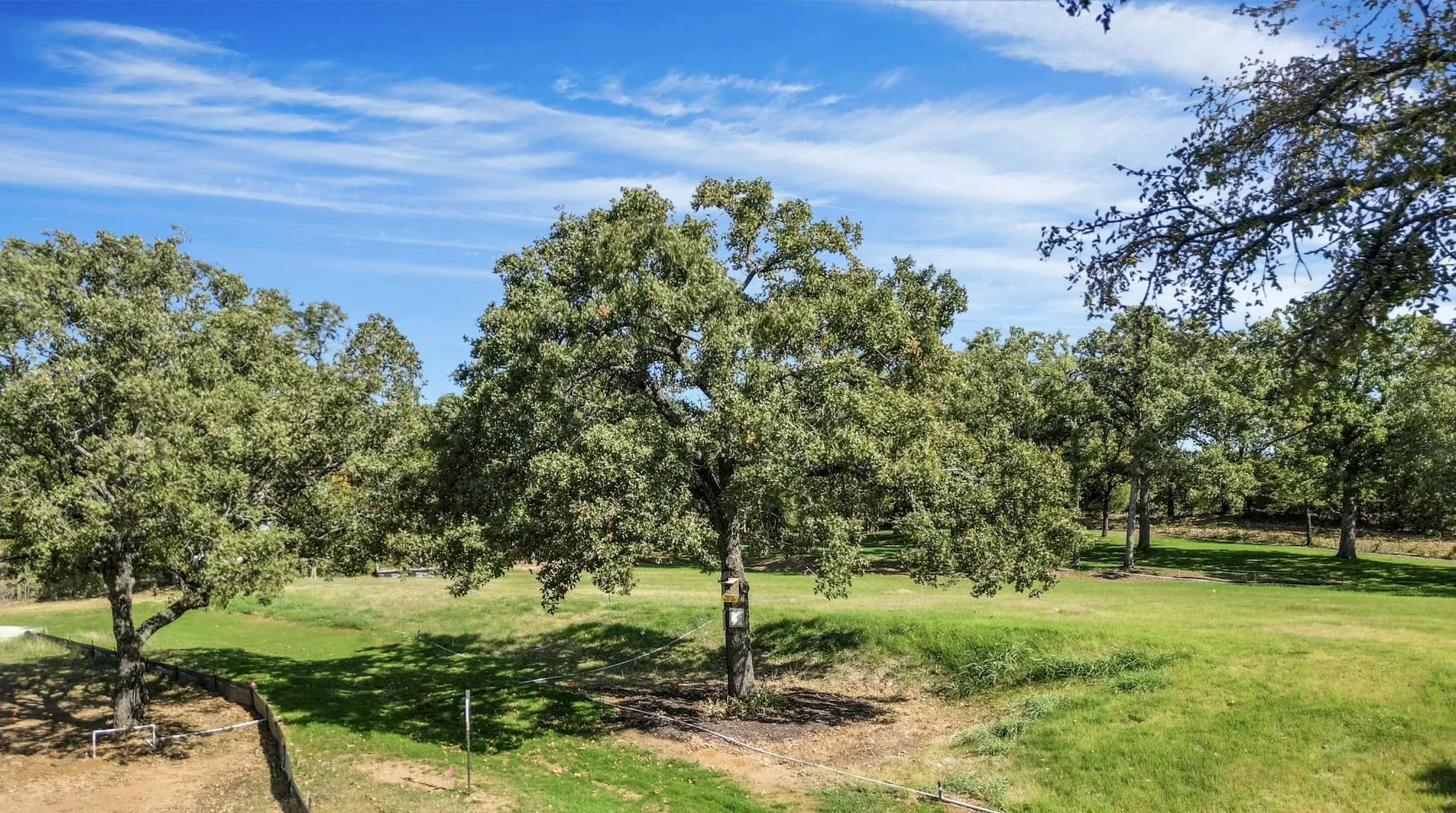 Improved Land For Sale in Denton County , 9897 Macaway Drive, Argyle, Texas 76226, 0, 0, Garage spaces, 0 Sqft, built in 0, mls#21008927, Real Estate Agent in Argyle, Homes For Sale in Denton county, Homes For Sale in Argyle, Realtor in Argyle Texas, Real Estate Brokerage Independent Realty Texas, Luminita Cordes Realtor