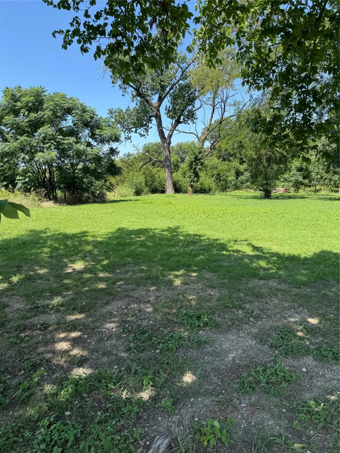View of green lawn